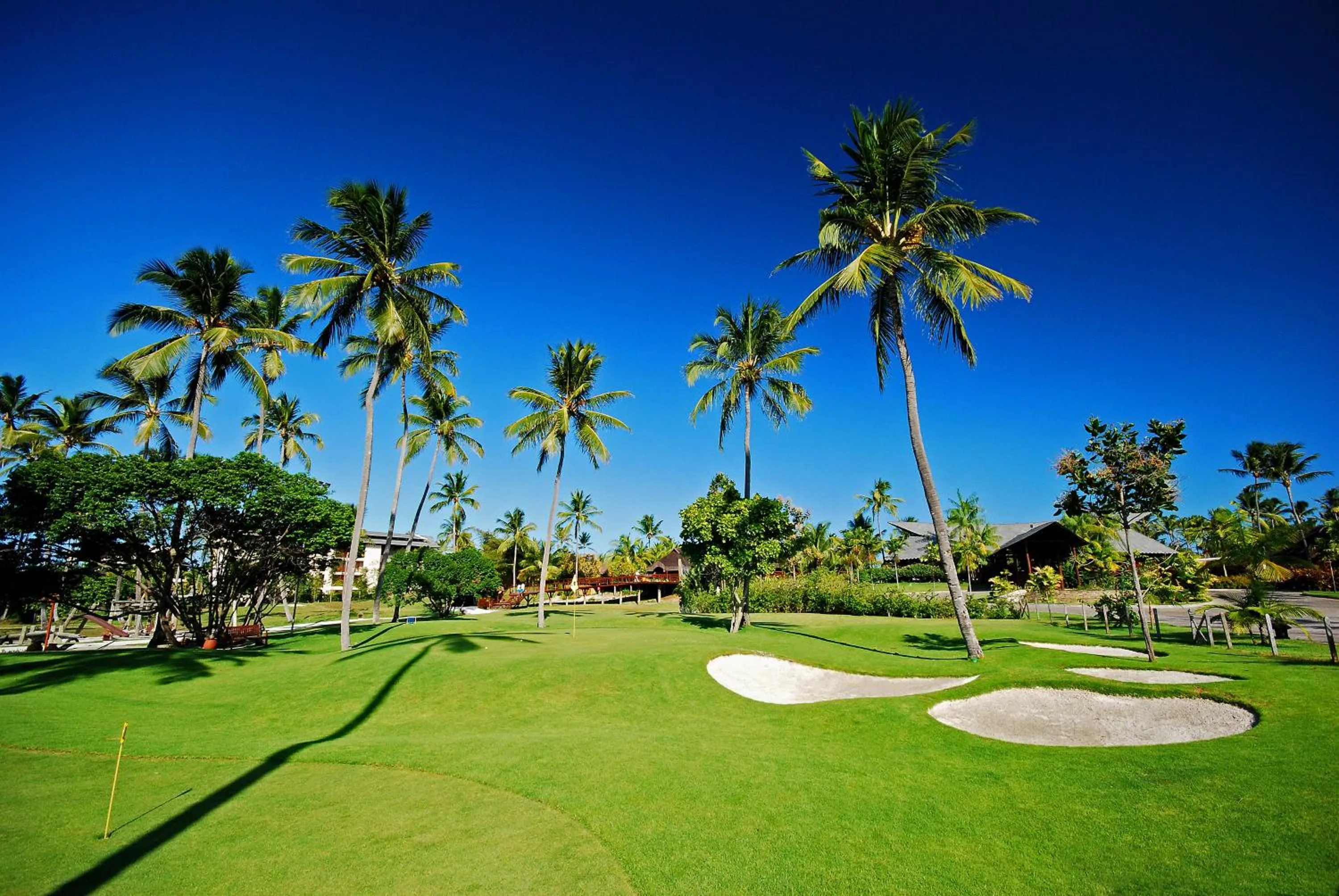 Activities in NANNAI Muro Alto