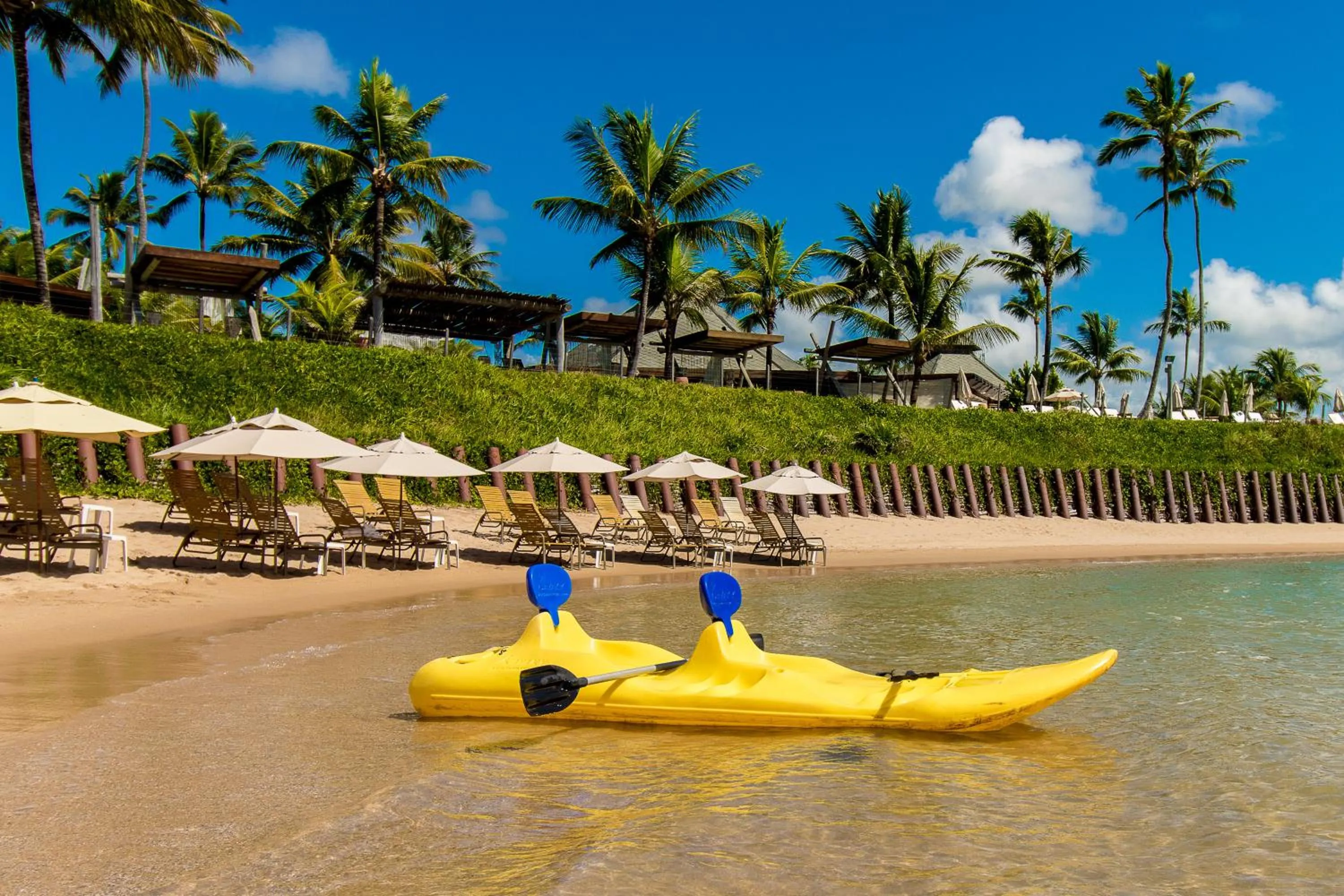 Activities in NANNAI Muro Alto