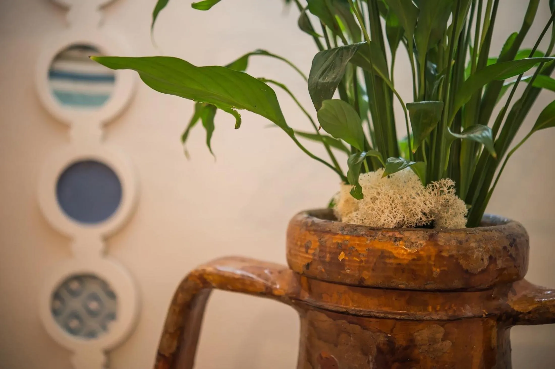 Decorative detail in Aphrodite Studios