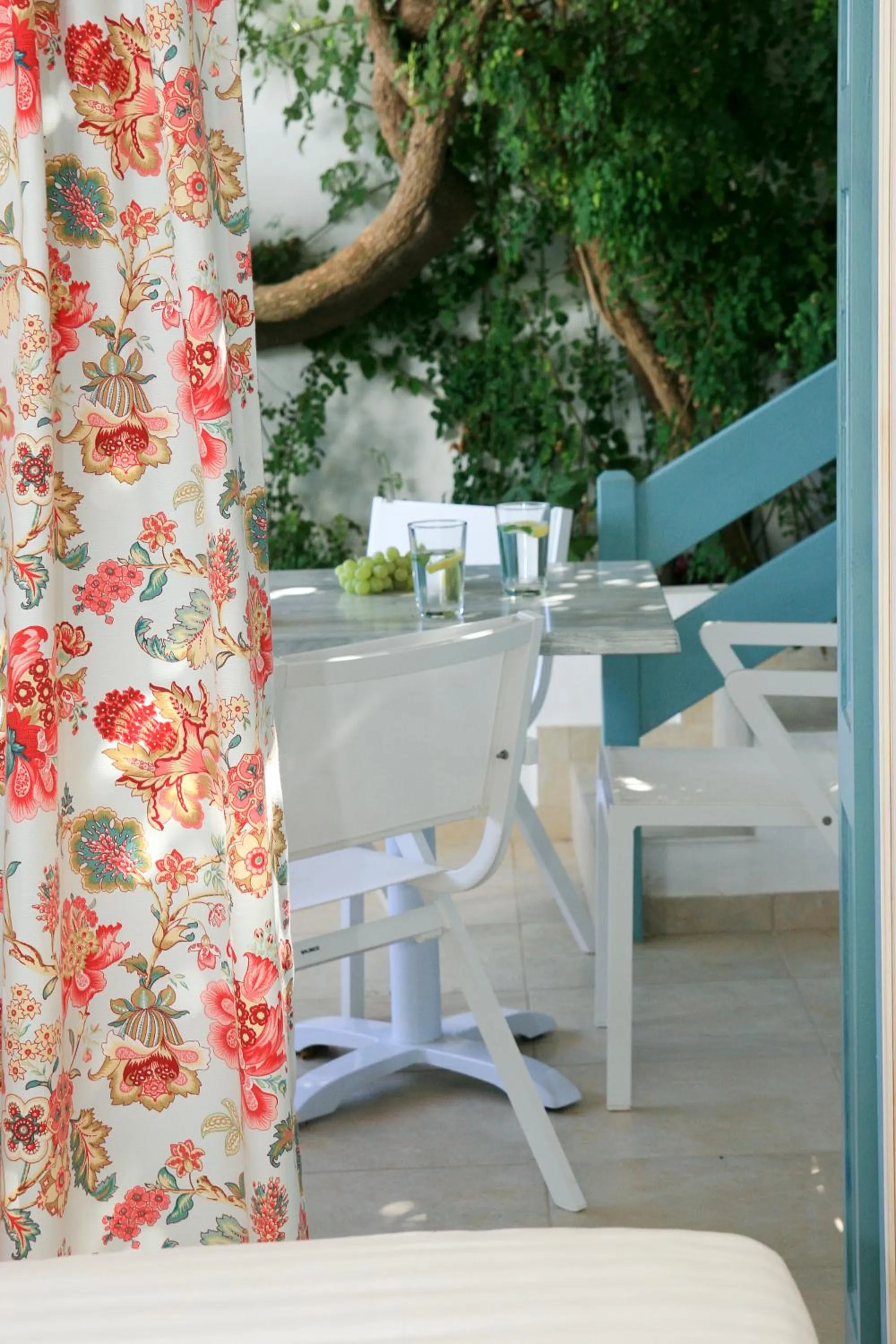 Garden in Aphrodite Studios