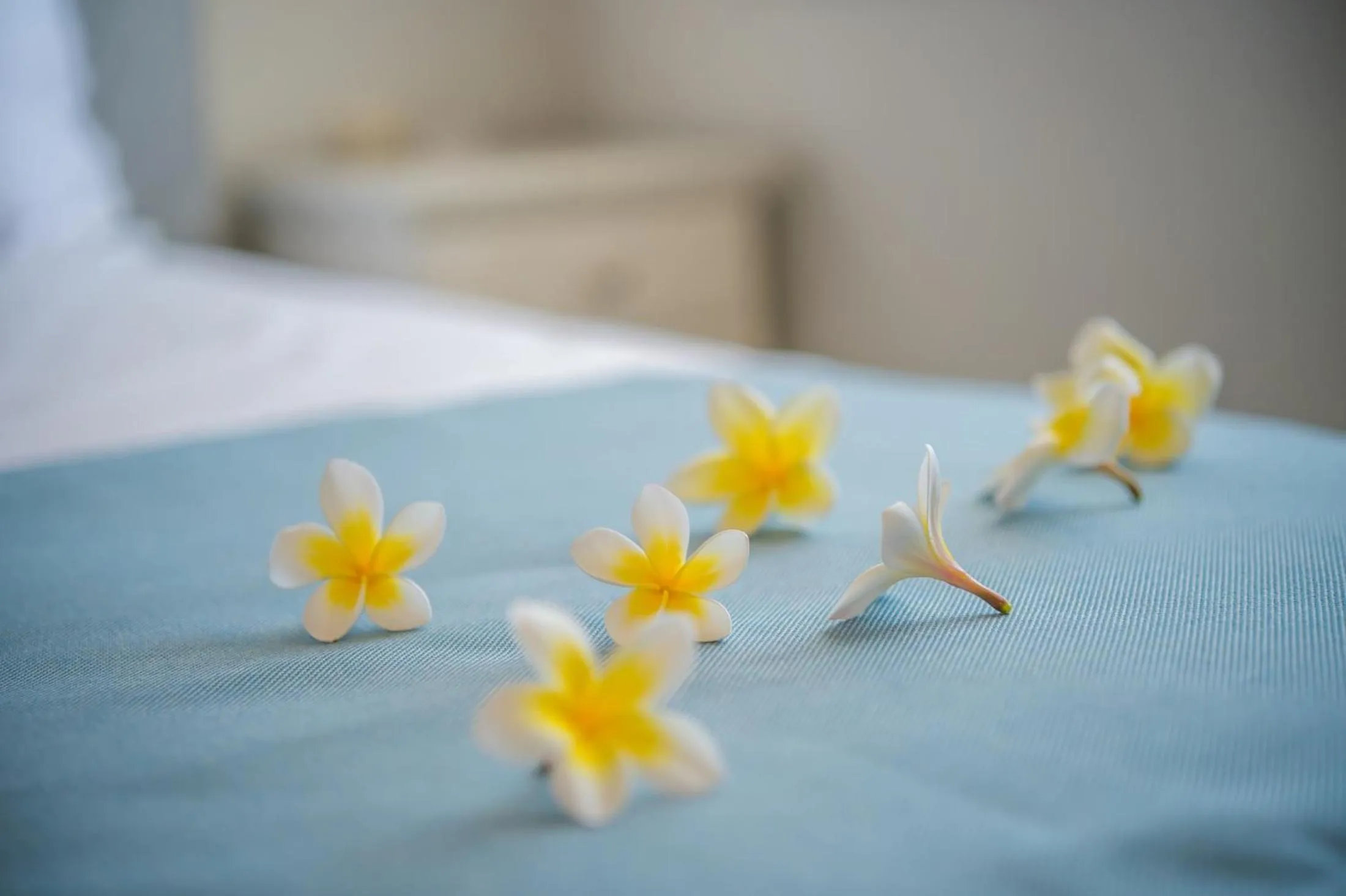 Decorative detail, Bed in Aphrodite Studios