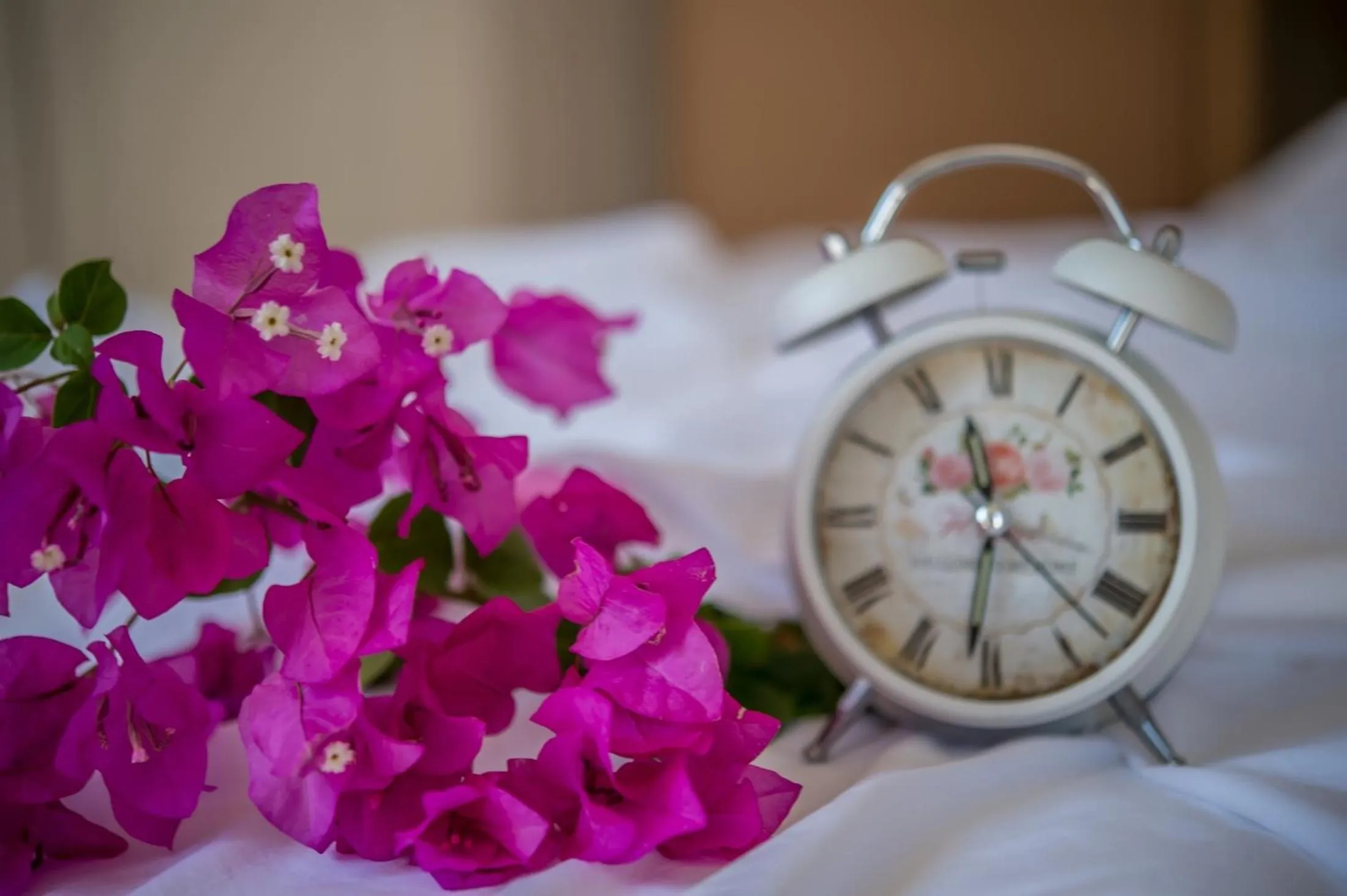 Decorative detail, Bed in Aphrodite Studios