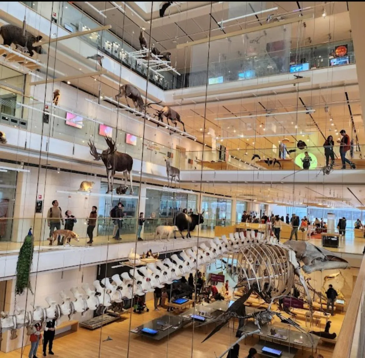 Casa degli Orti, Dolomia best home