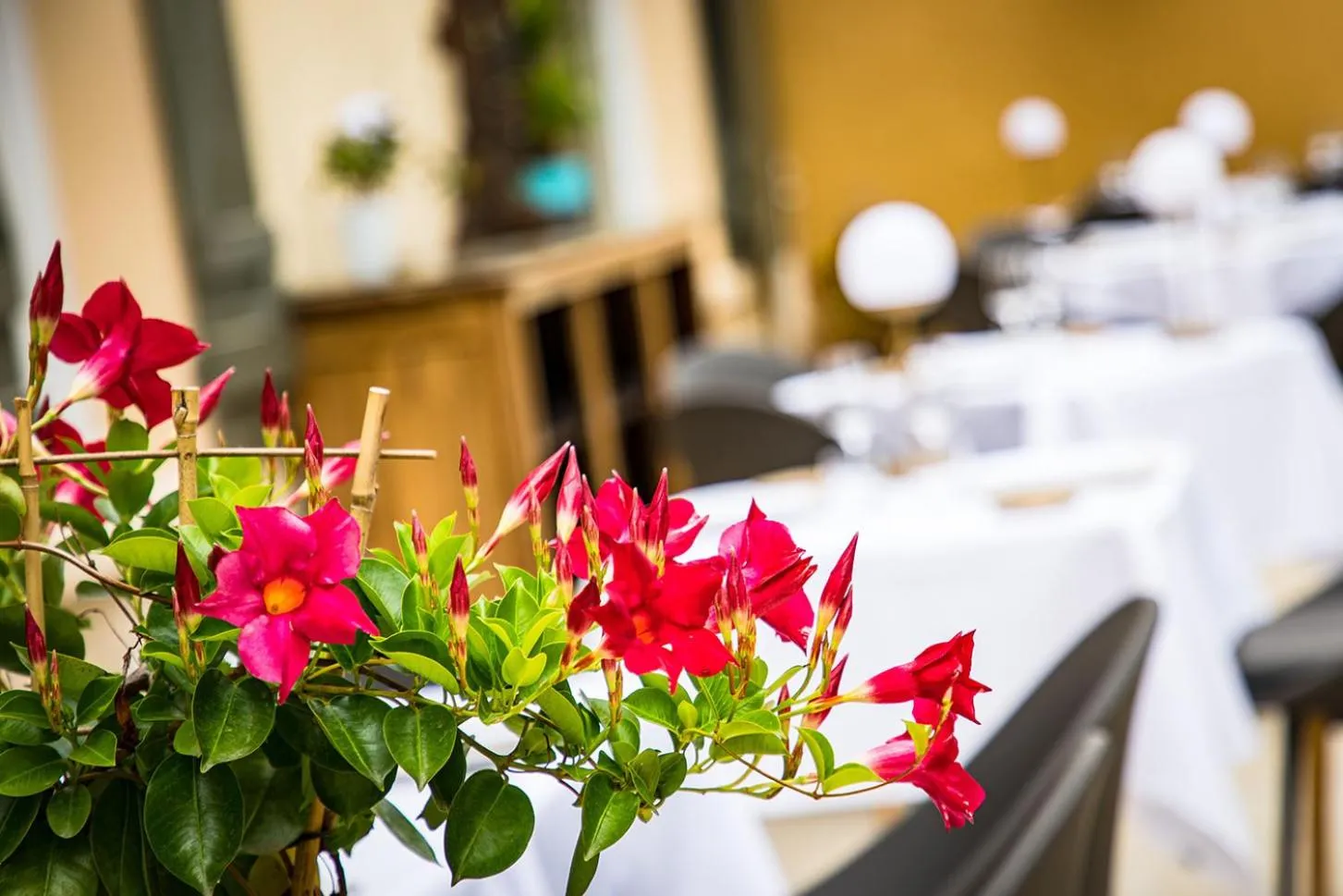 Patio in Hôtel Restaurant Gastronomique La Huchette