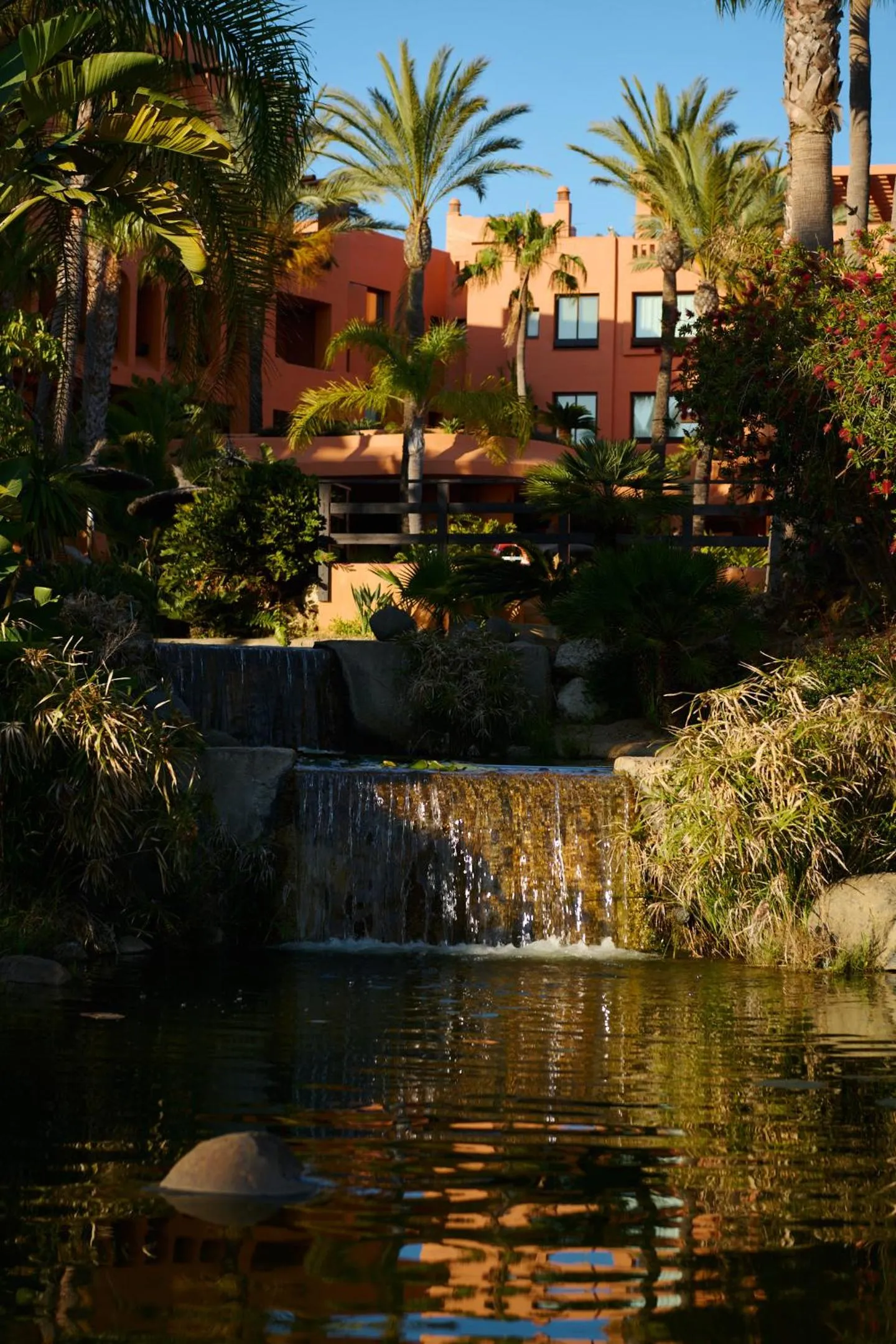 Garden in Aparthotel Novo Resort