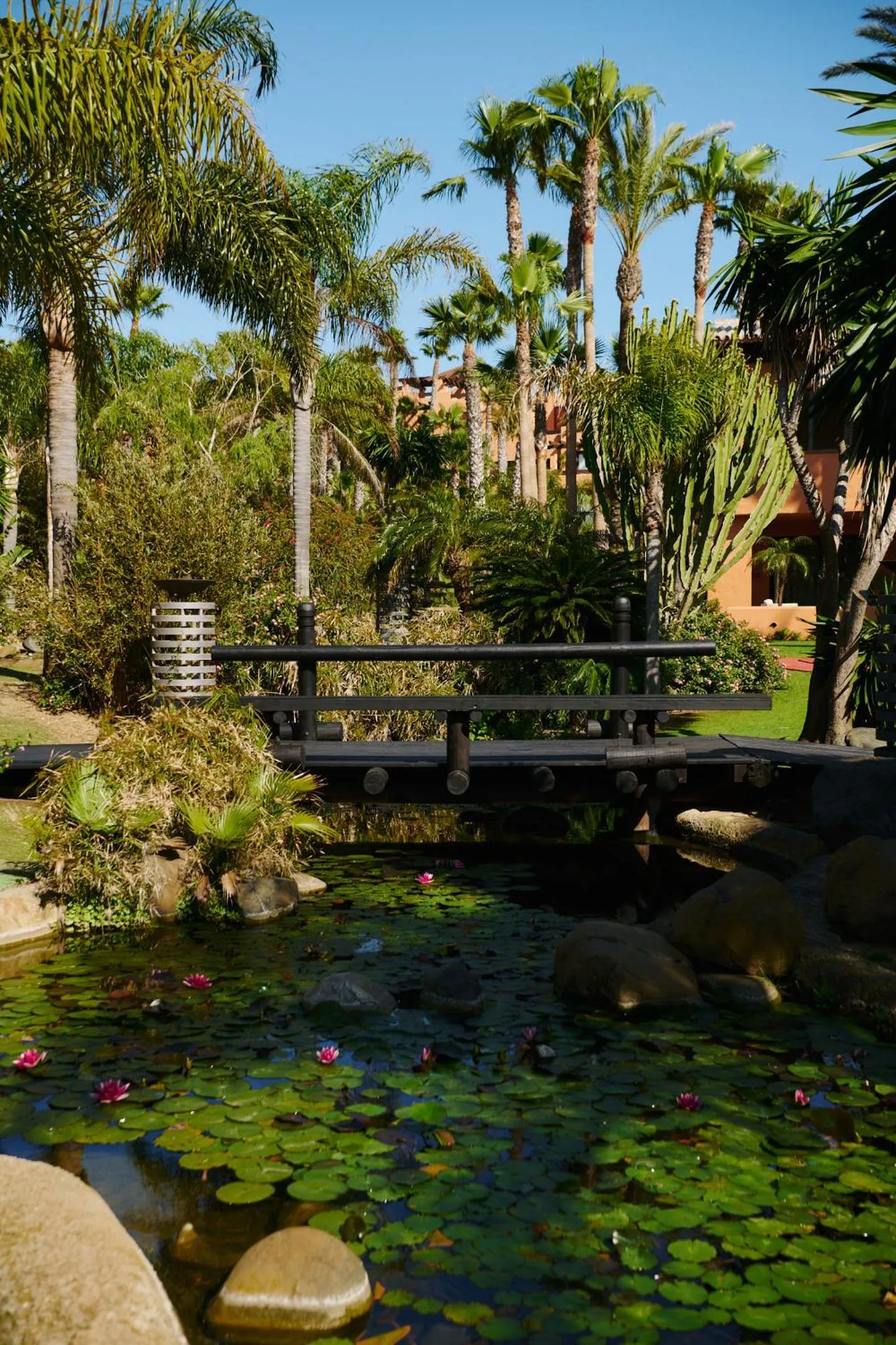 Garden in Aparthotel Novo Resort