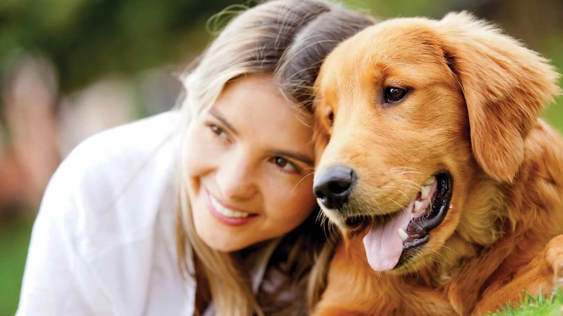 Animals in Hotel Susa