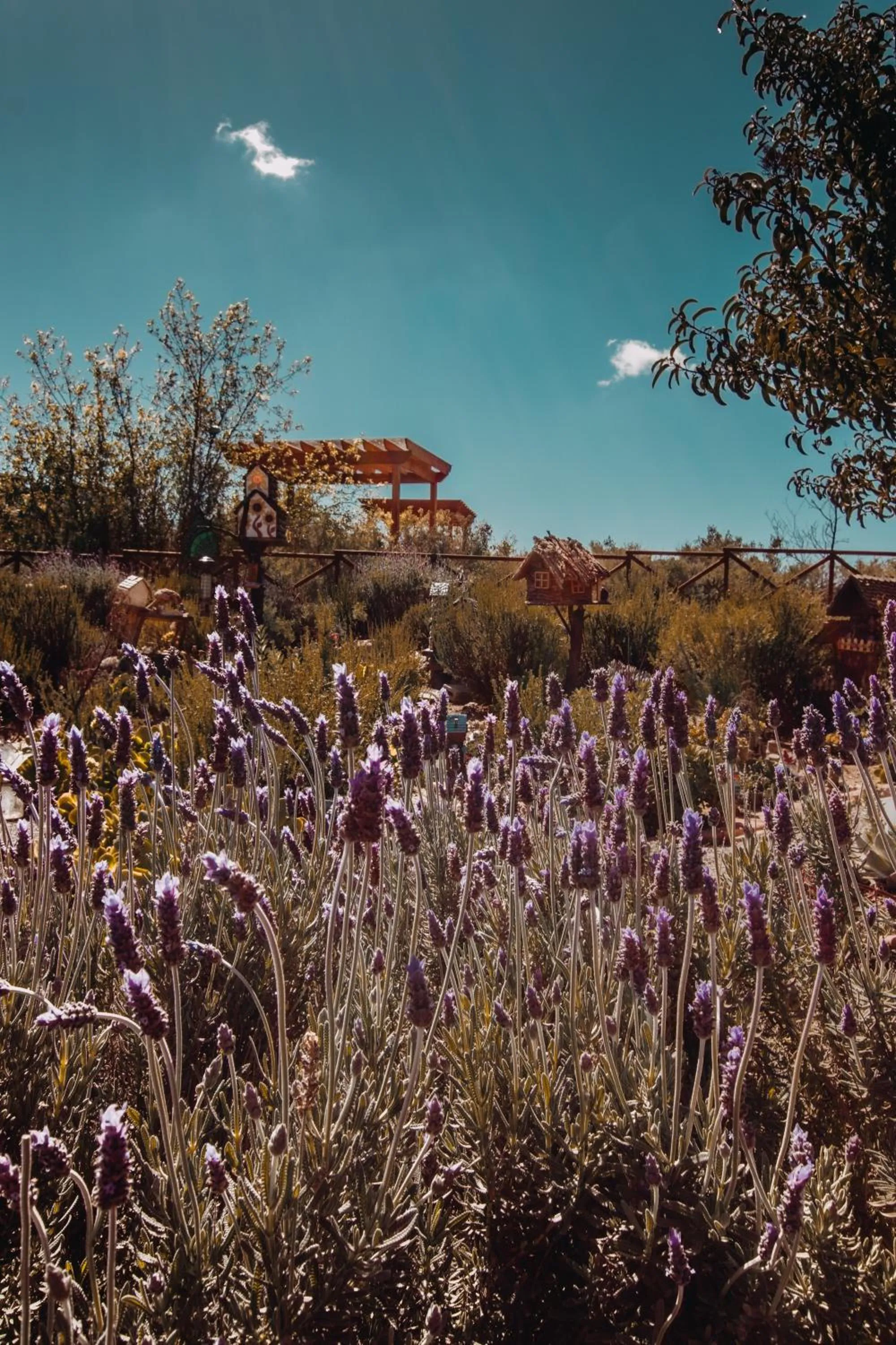 Garden in Contemplacion Resort & Spa