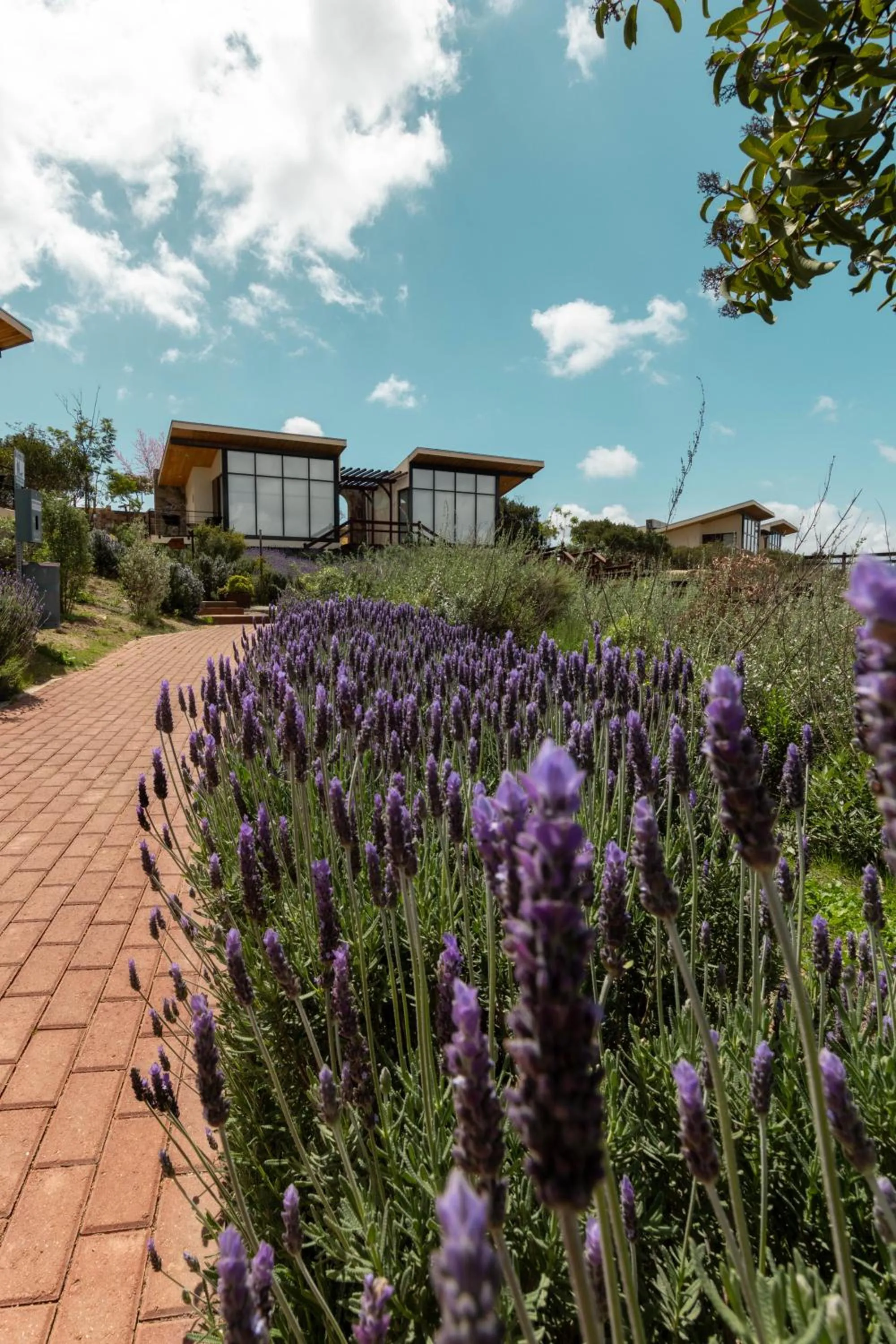 Off site in Contemplacion Resort & Spa