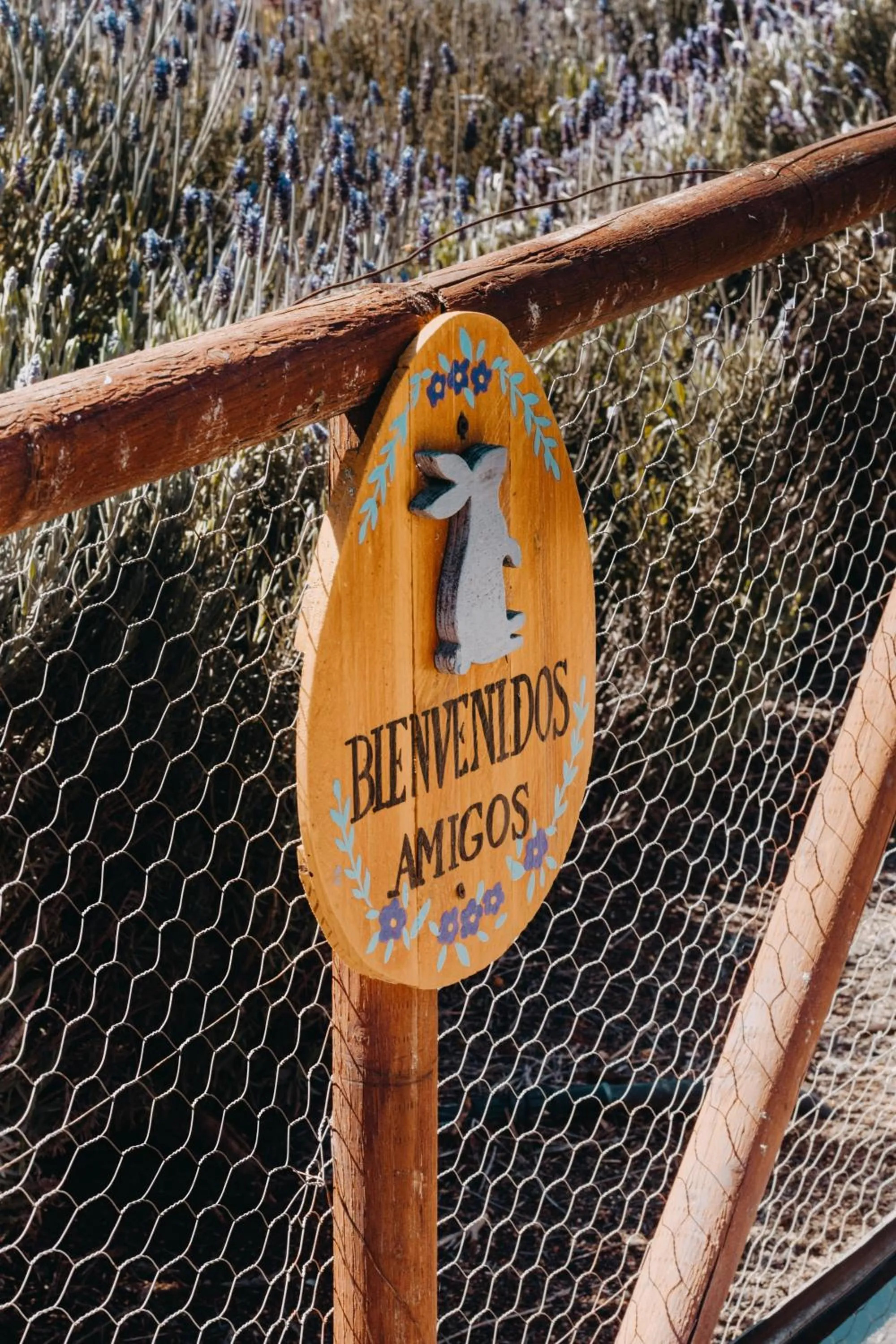 Garden in Contemplacion Resort & Spa