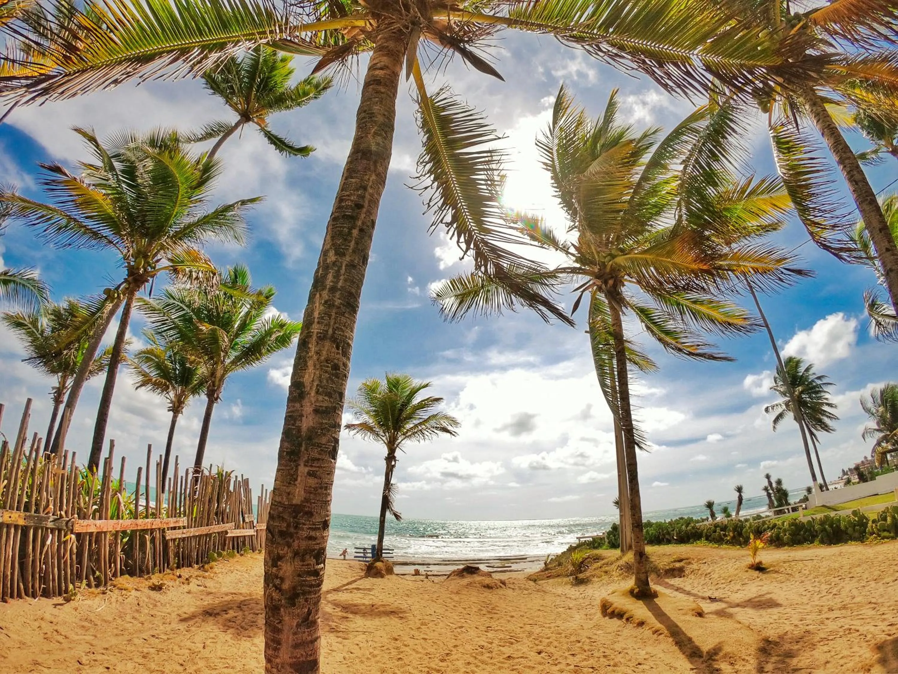 Natural landscape in Pousada Sereia do Porto