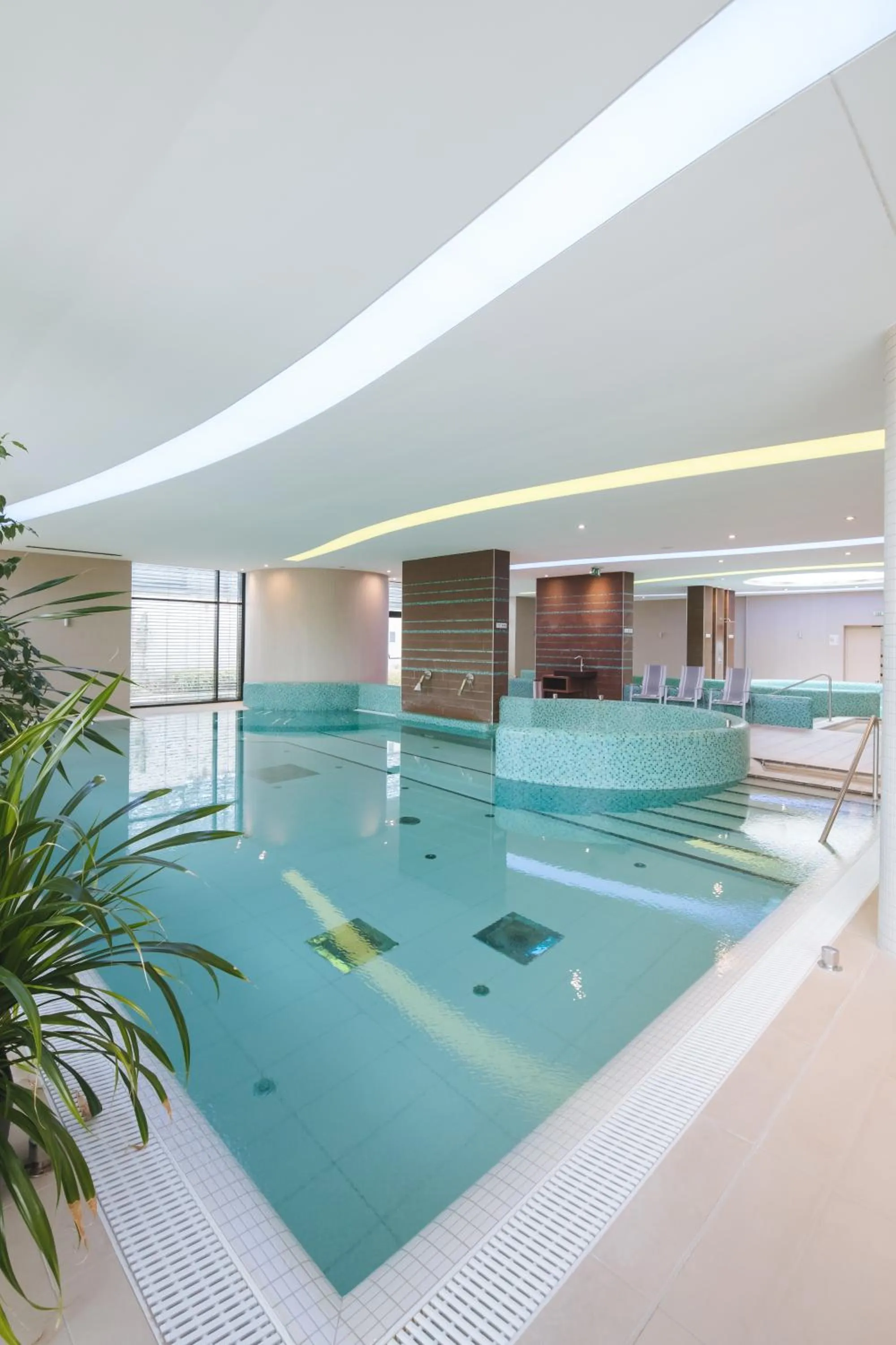 Swimming pool in Imola Hotel Platán - Adults Only