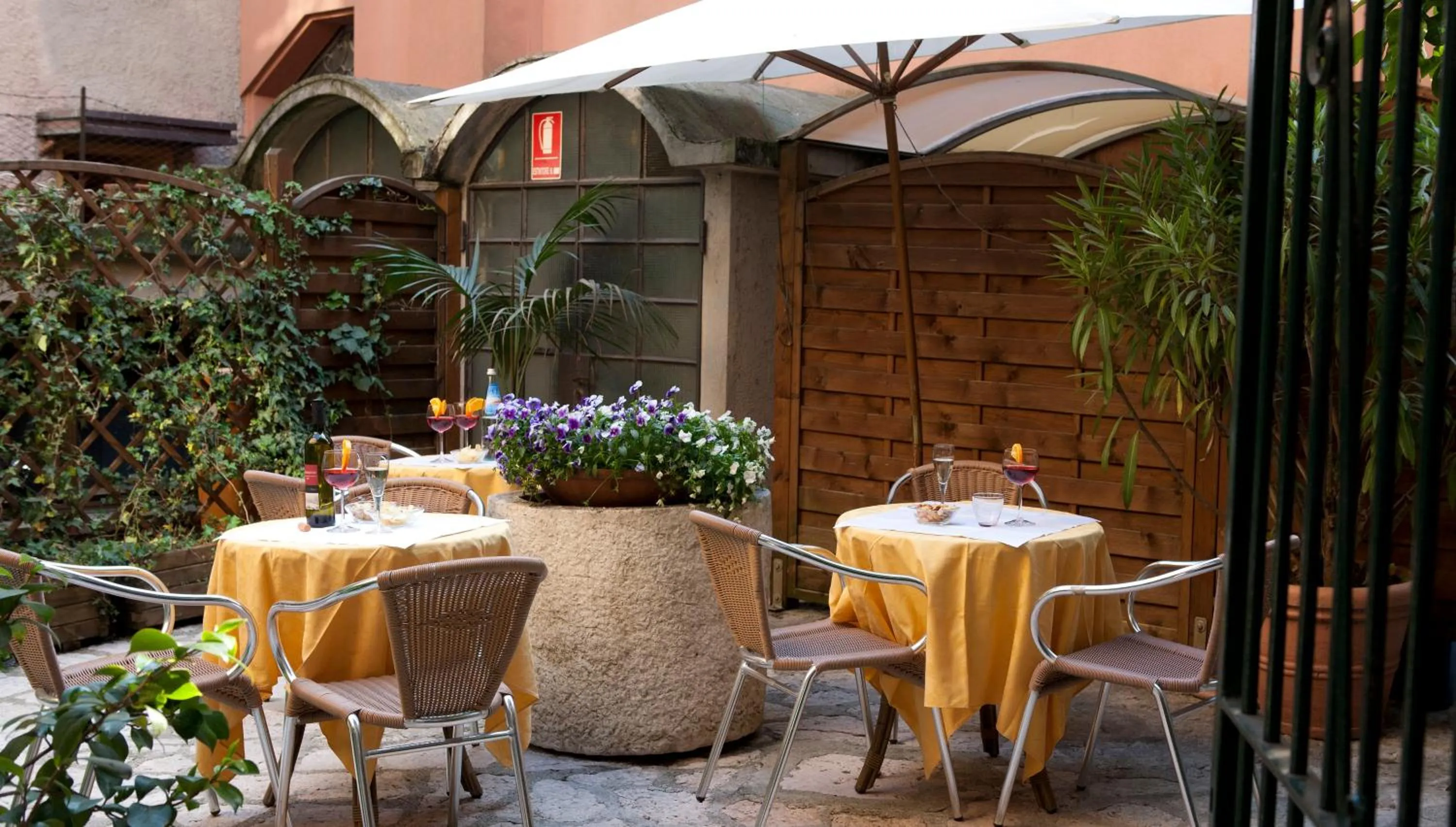 Garden in Hotel Degli Oleandri