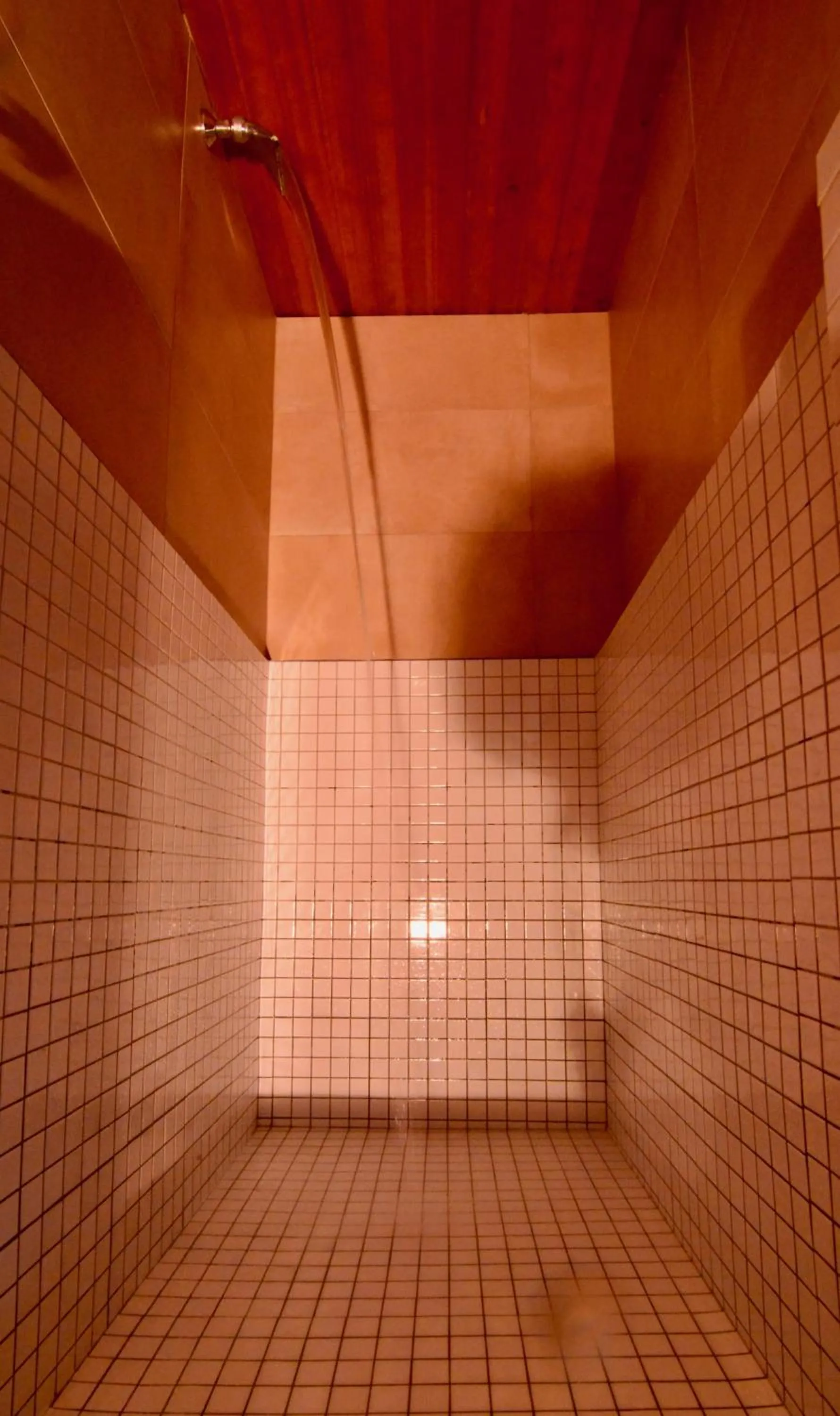 Swimming pool in Landhaus Birgit