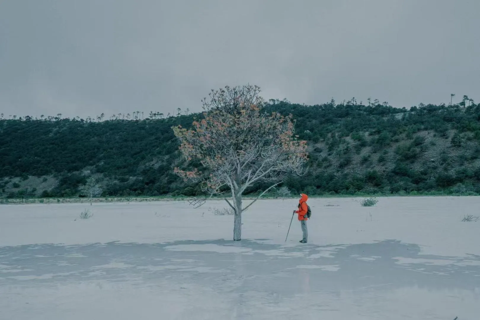 Activities in The Rock Hotel