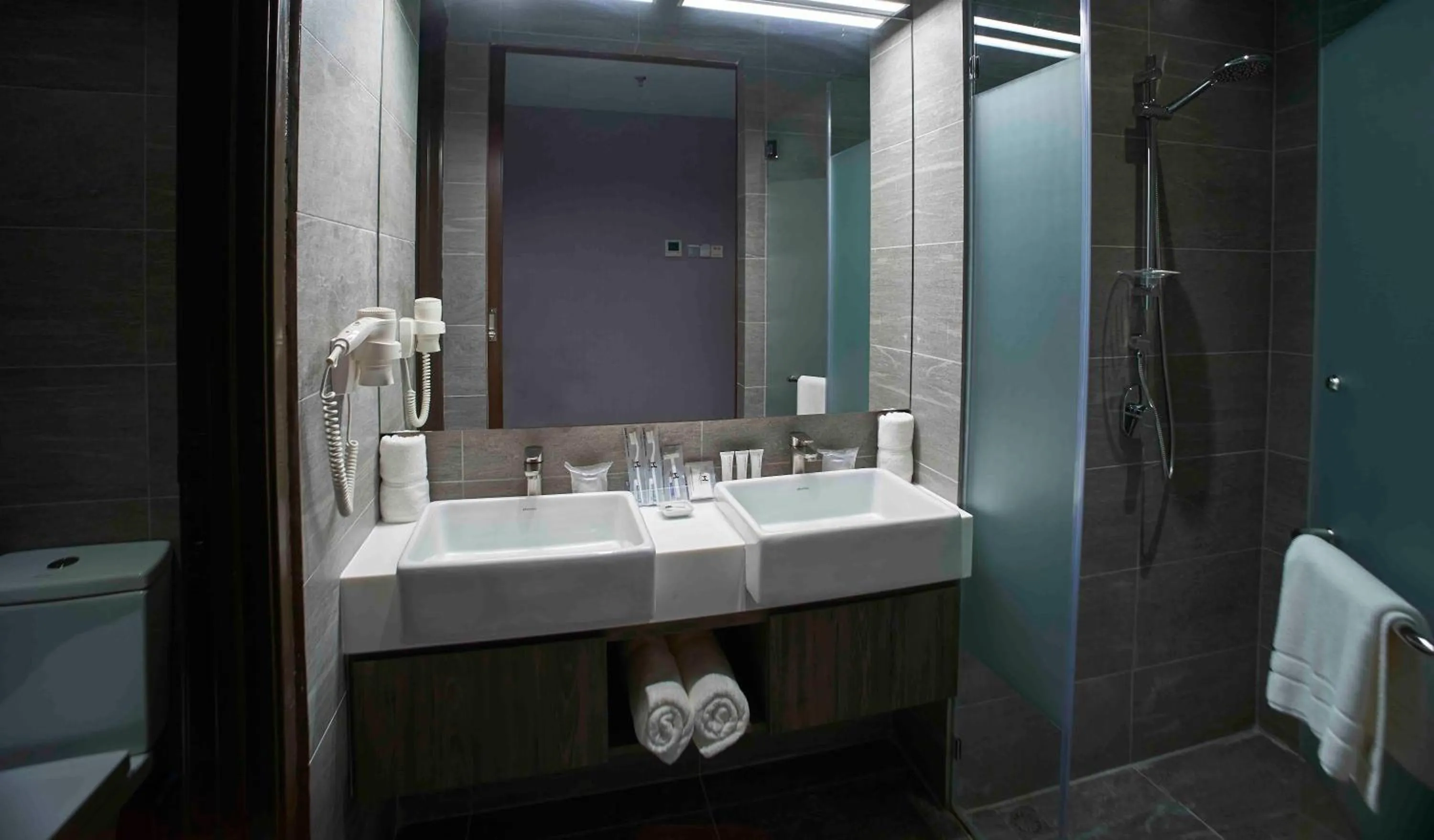 Shower in Urban H Hotel