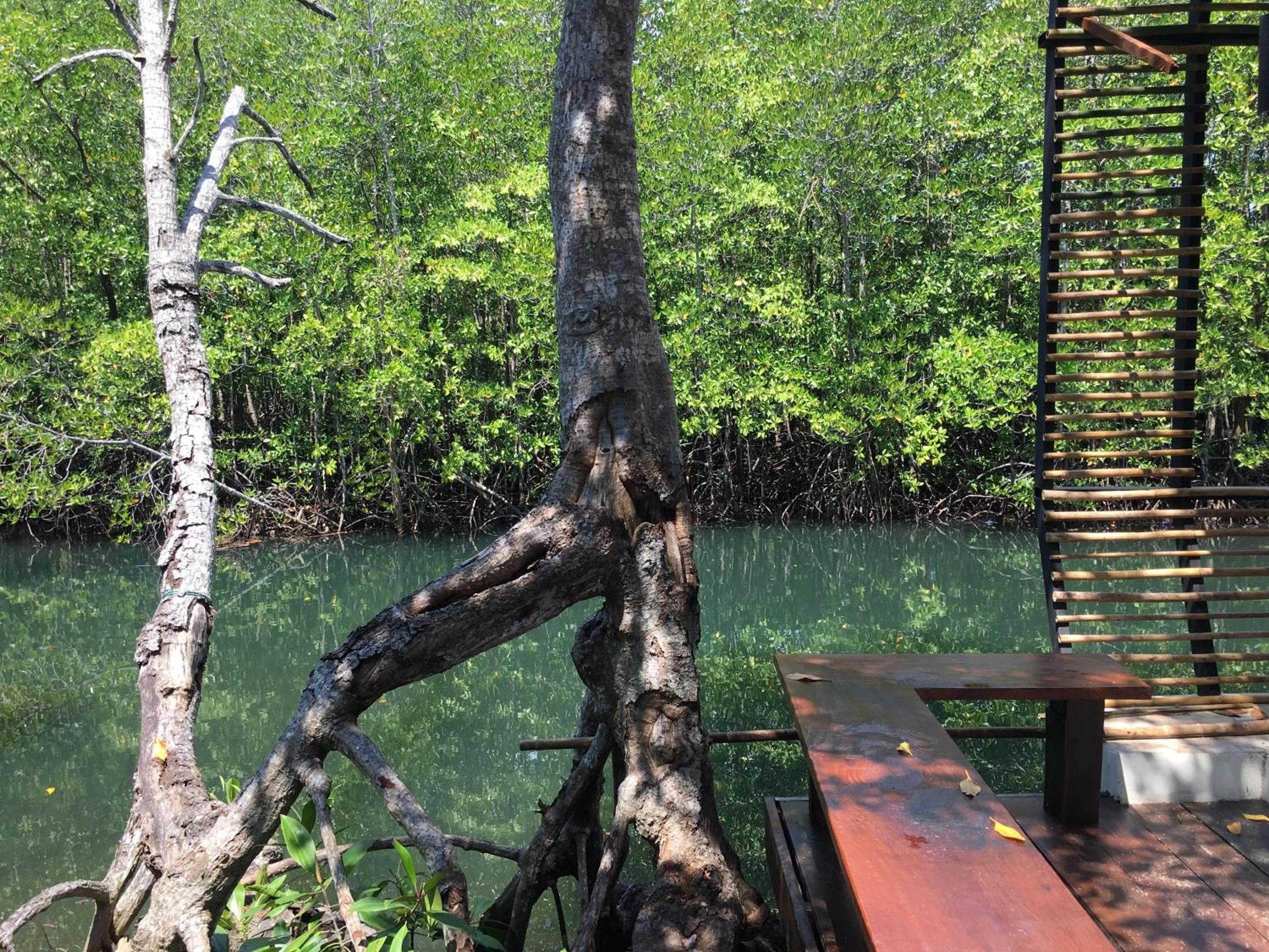 Escape Life Koh Kood