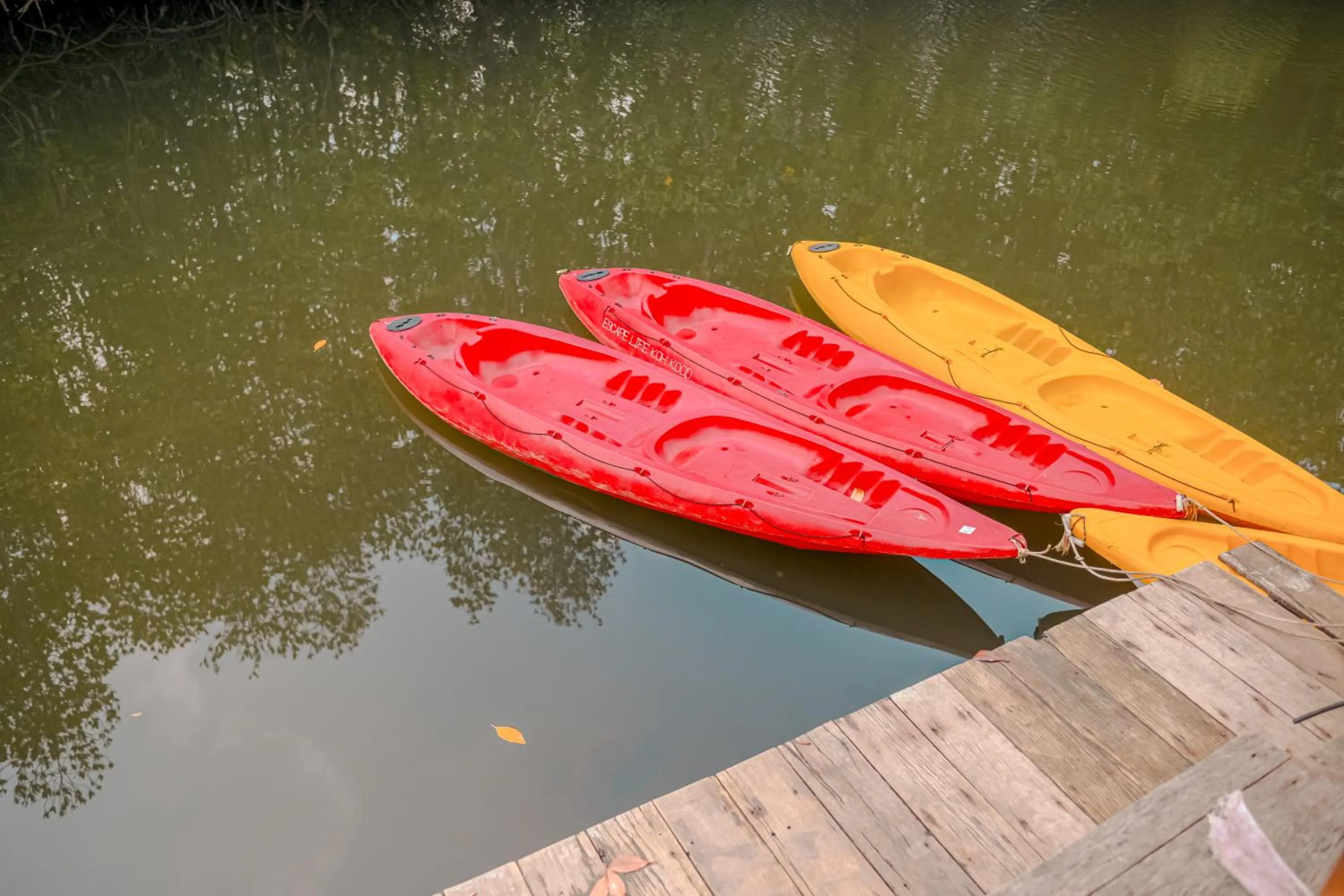 Activities in Escape Life Koh Kood