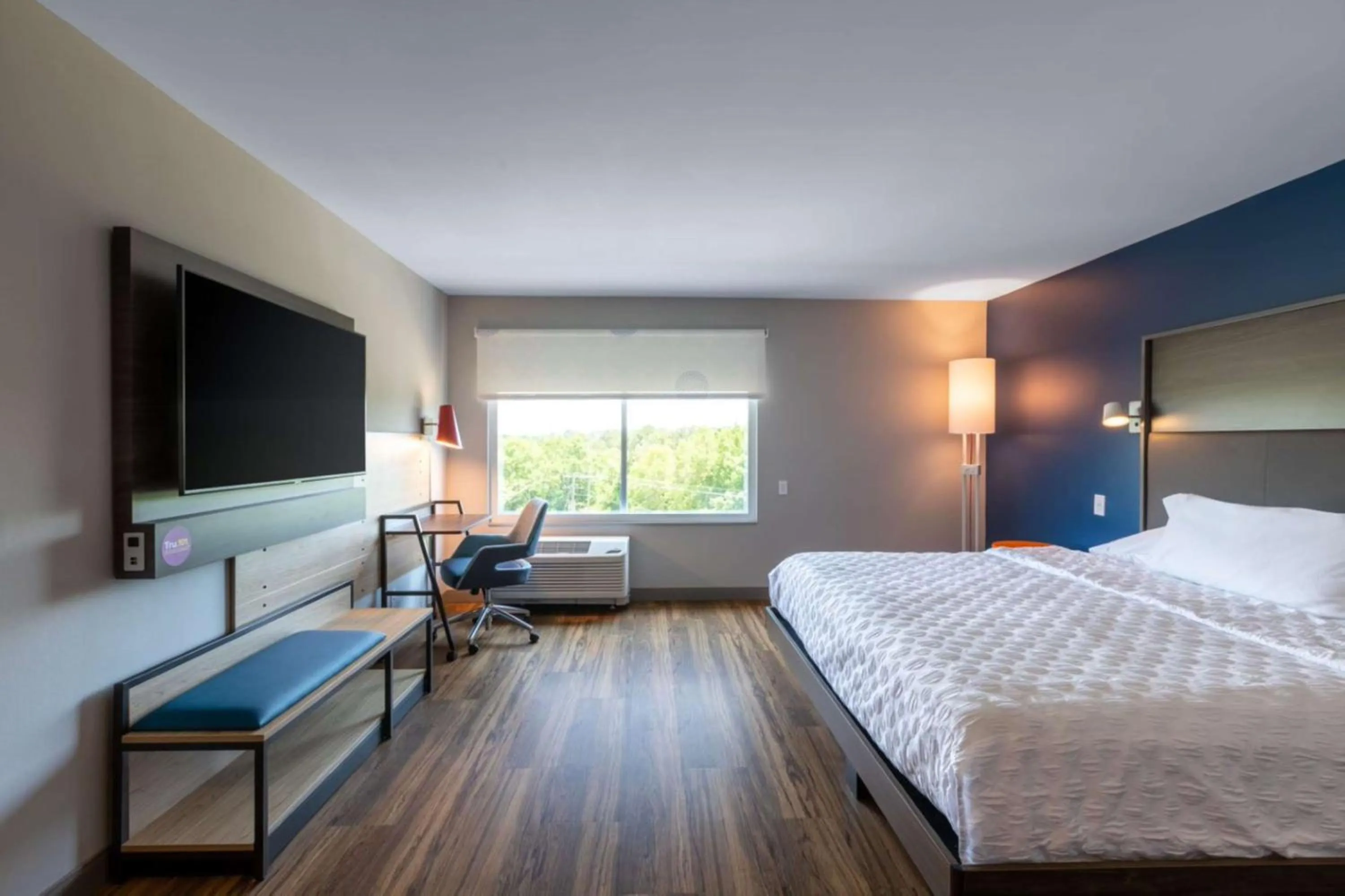 Bedroom, Bed in Tru By Hilton Seneca Clemson Sc