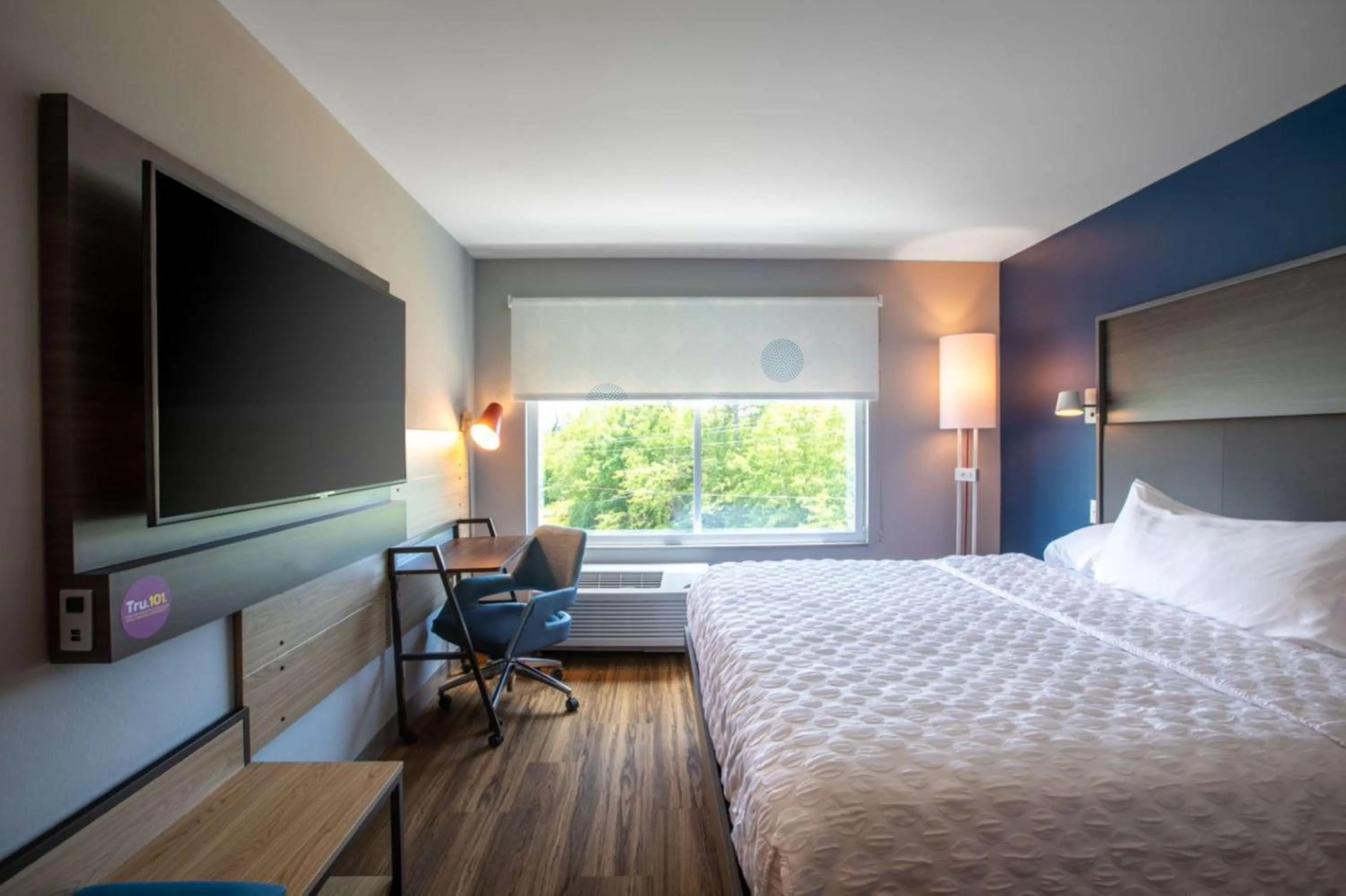 Bedroom, Bed in Tru By Hilton Seneca Clemson Sc