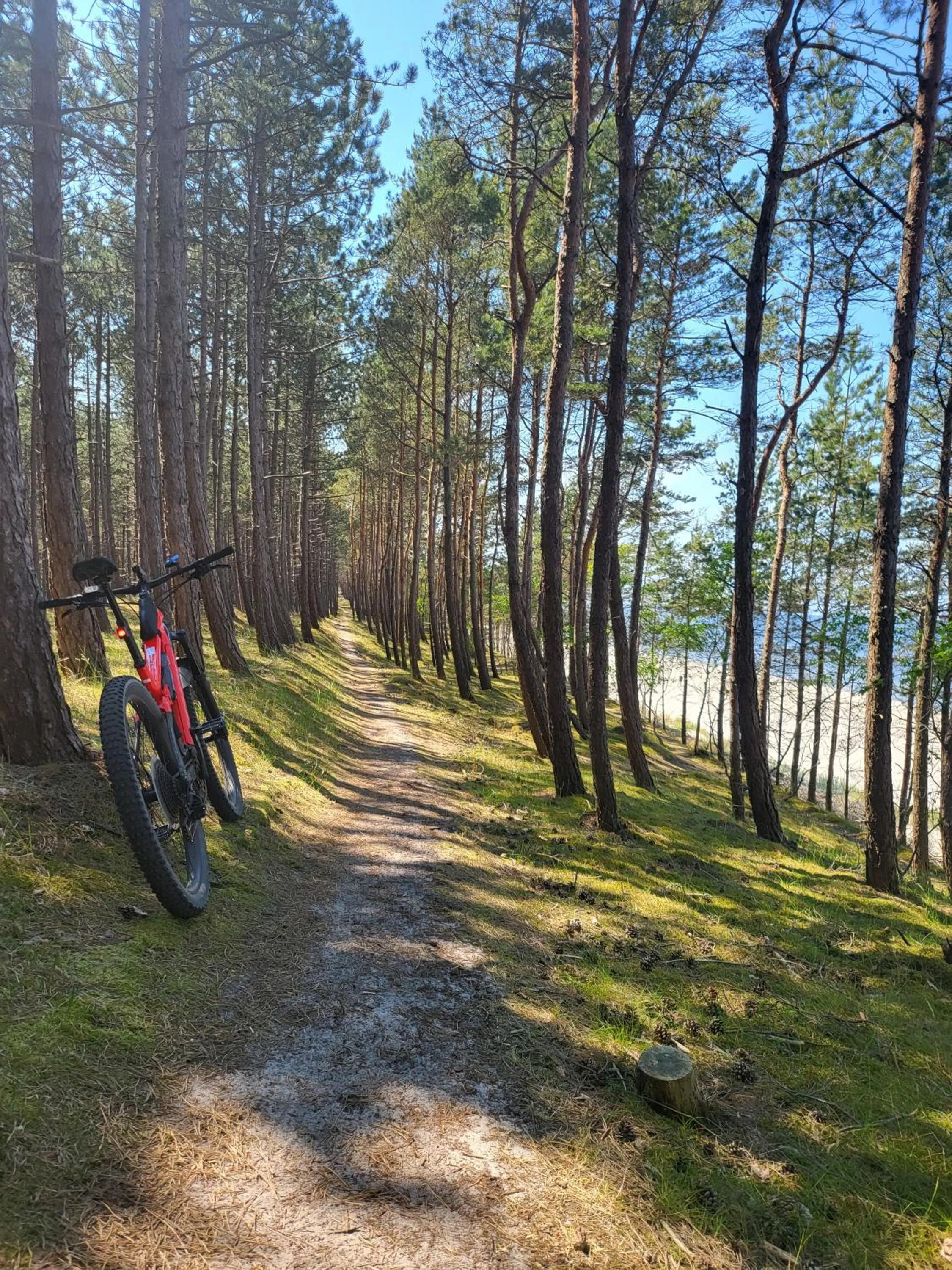 Cycling in Domki Skowronki