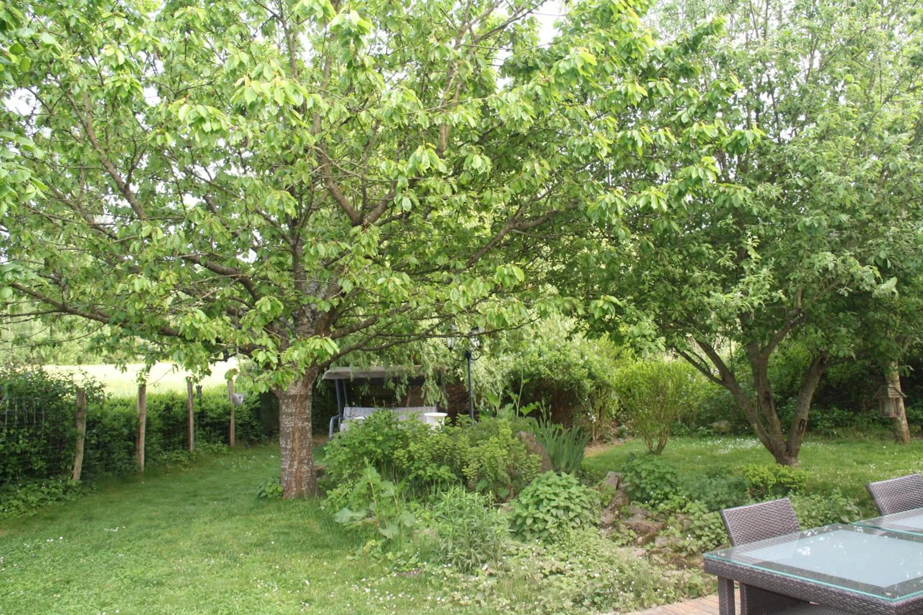 Property building in La Raimbaudière