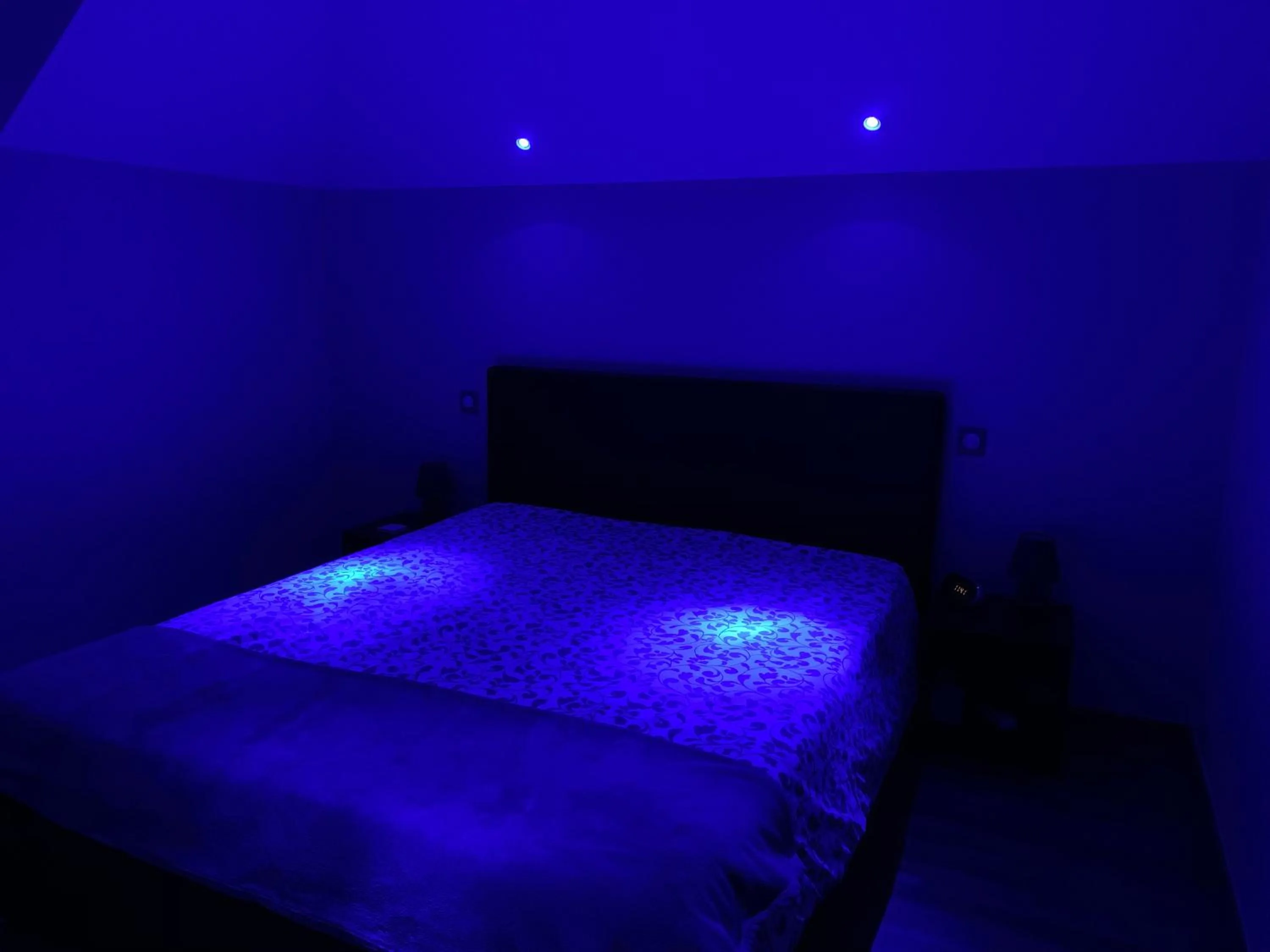 Photo of the whole room, Bed in La Raimbaudière