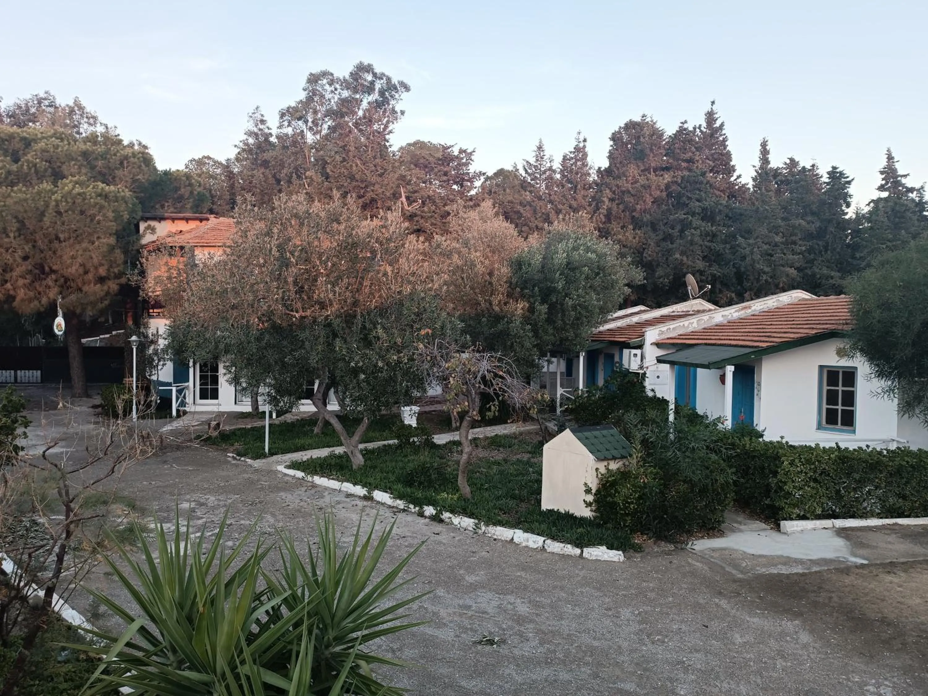 Teos Ormanci Tatil Koyu