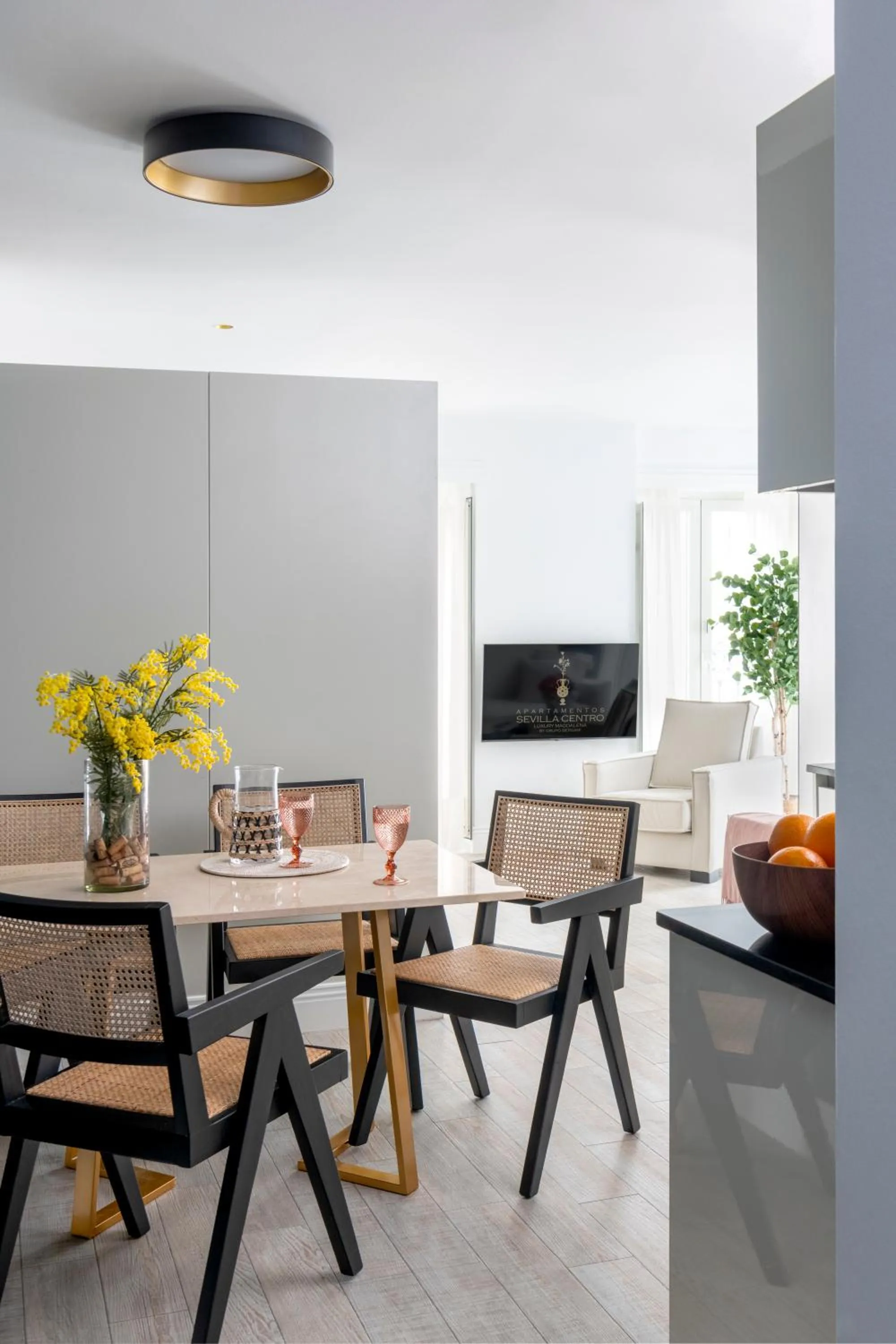 TV and multimedia in Apartamentos Sevilla Centro