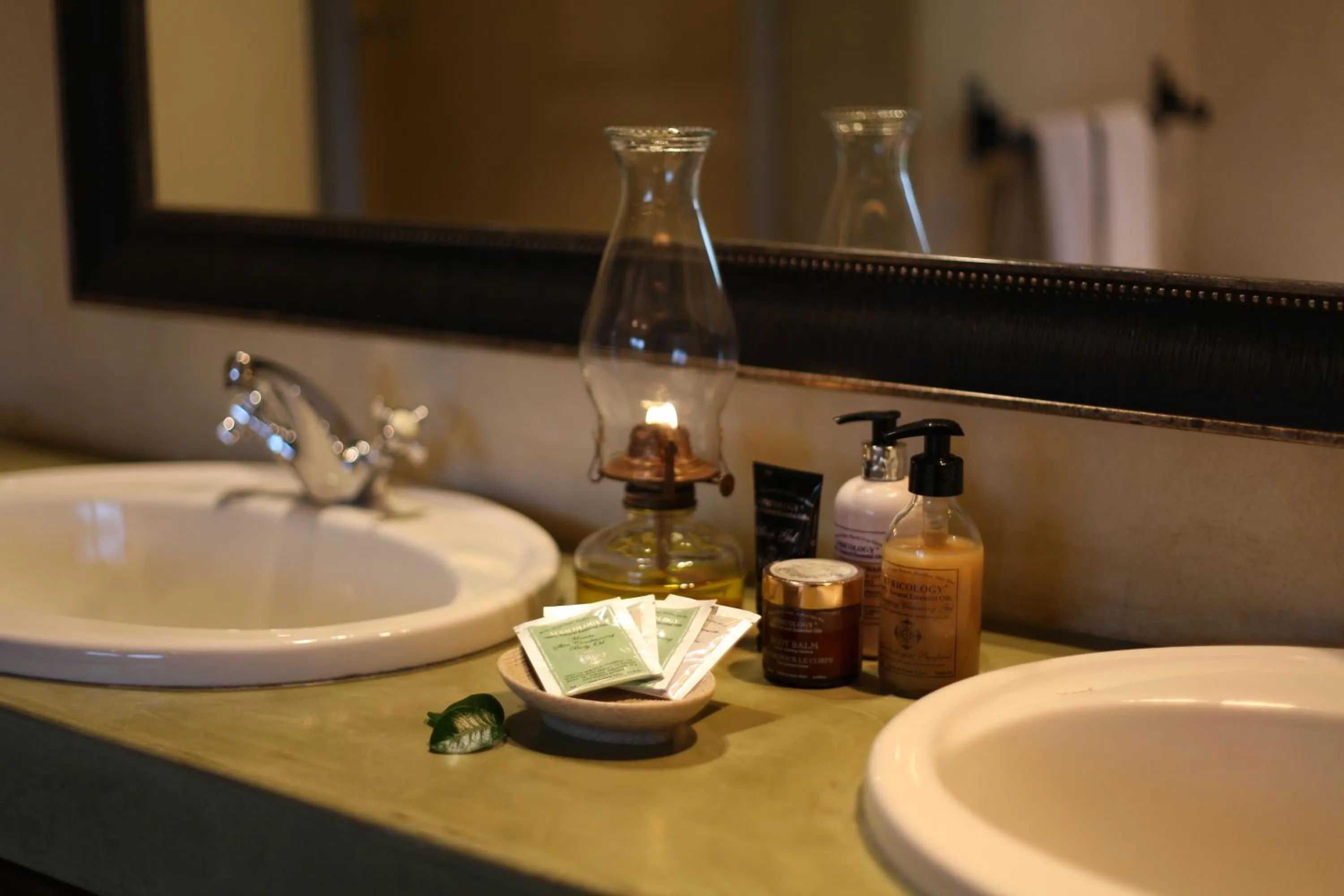 Ivory Wilderness River Rock Lodge