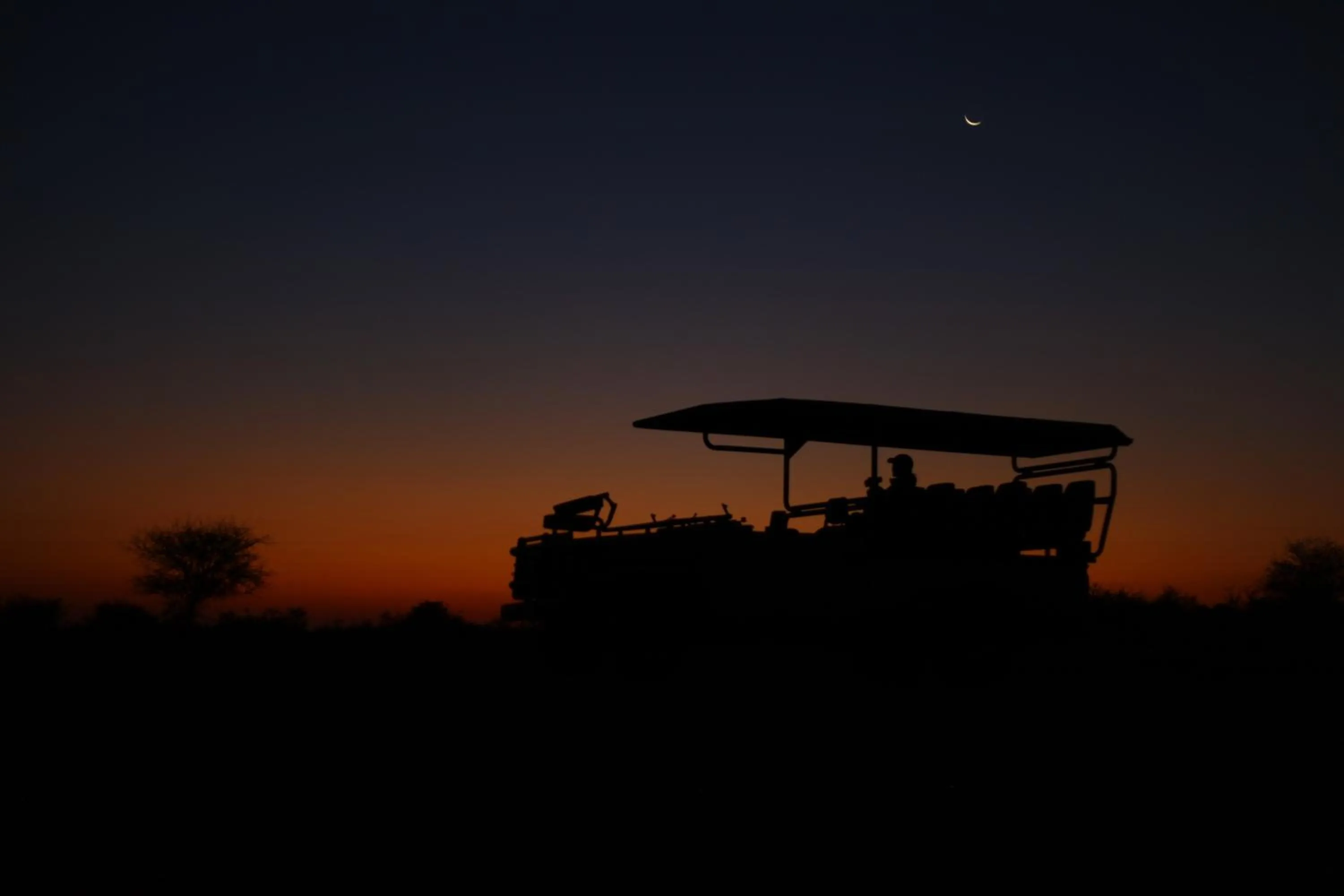Ivory Wilderness River Rock Lodge
