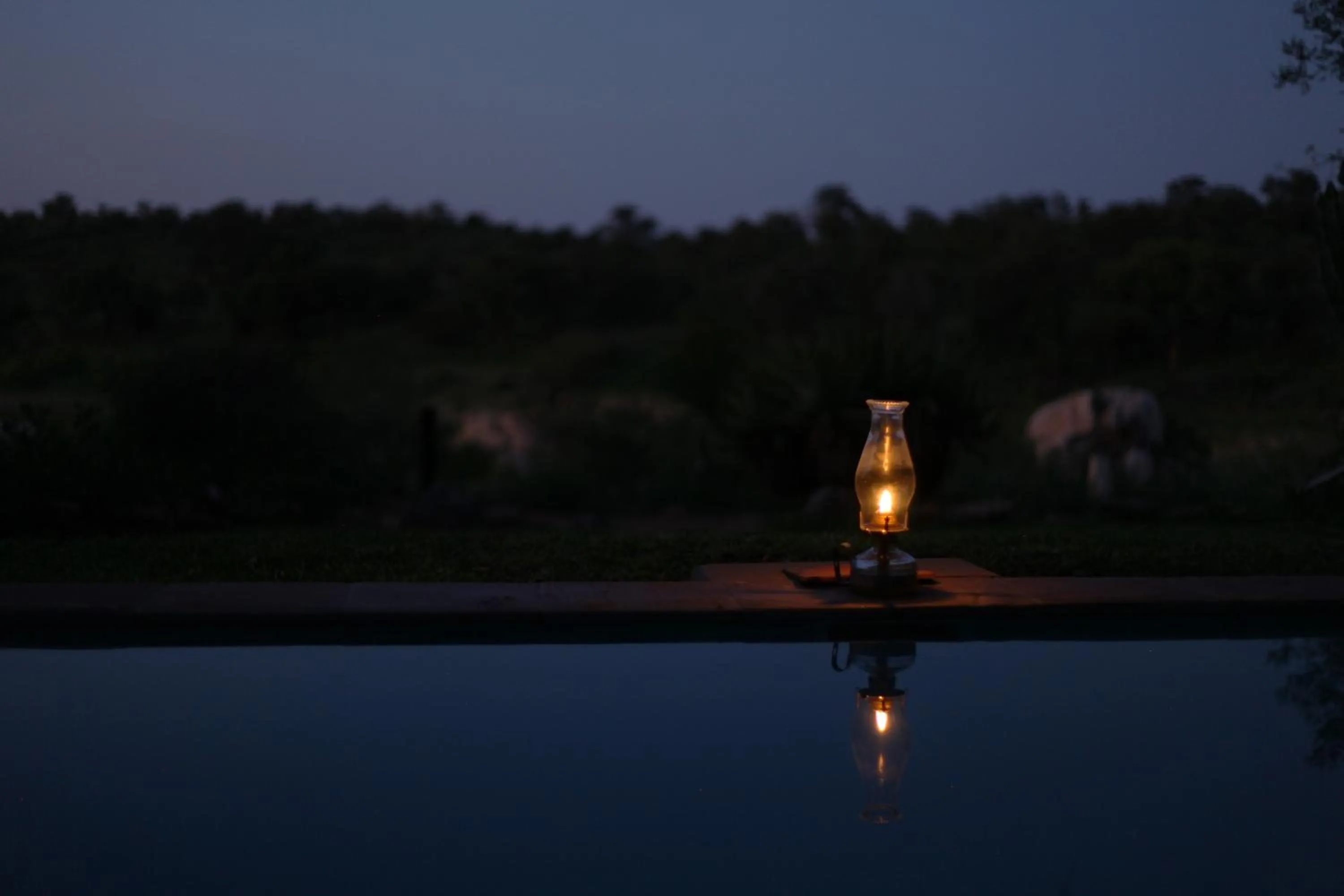 Property building in Ivory Wilderness River Rock Lodge