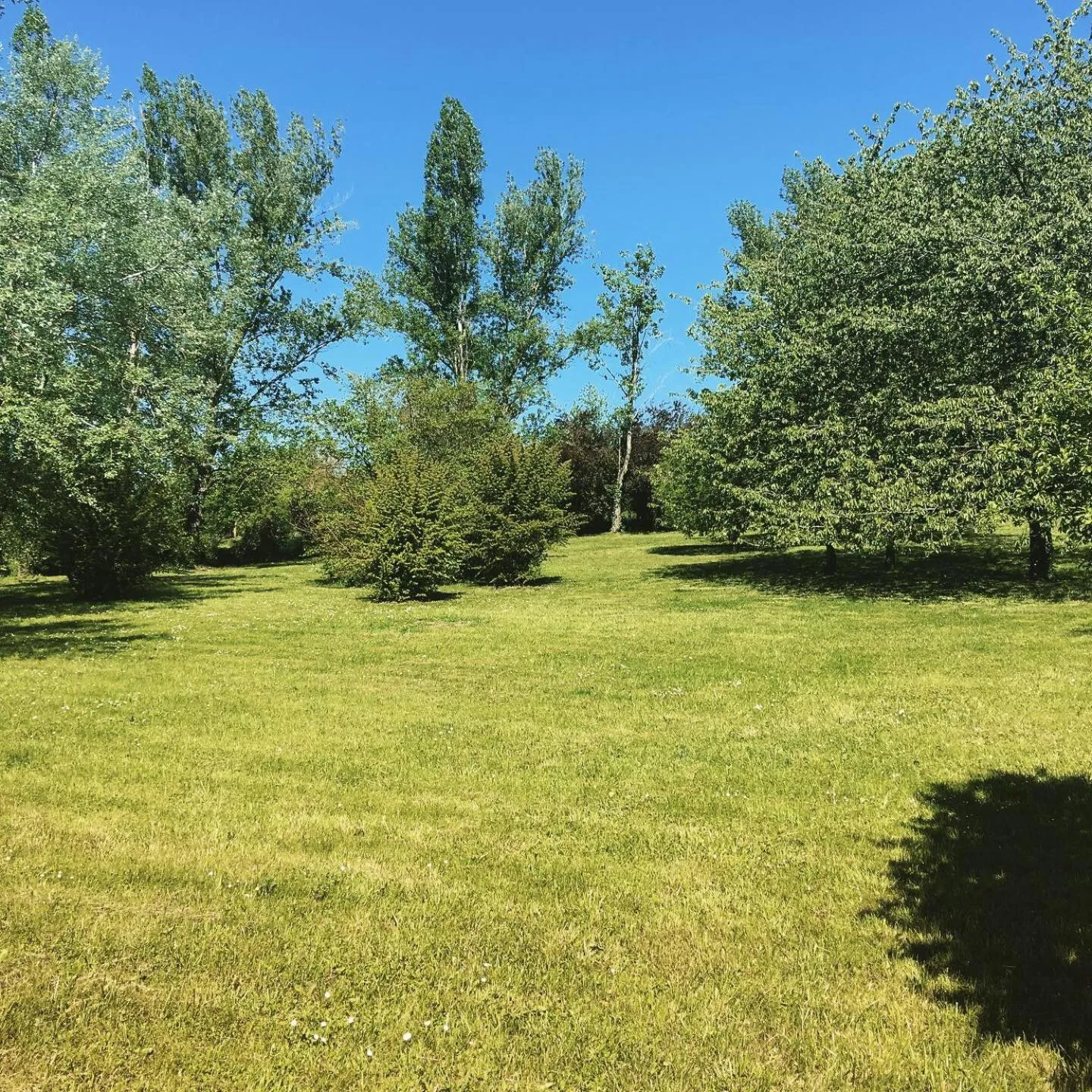Garden in Au Bonheur Dupré B&B