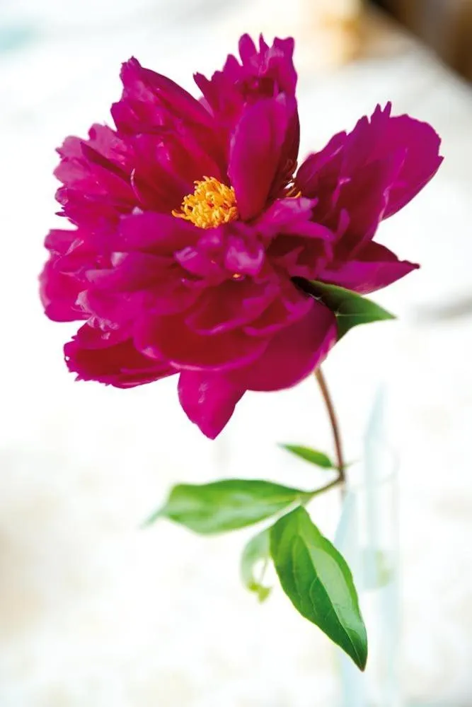 Other in Hotel Gasthof Rössle