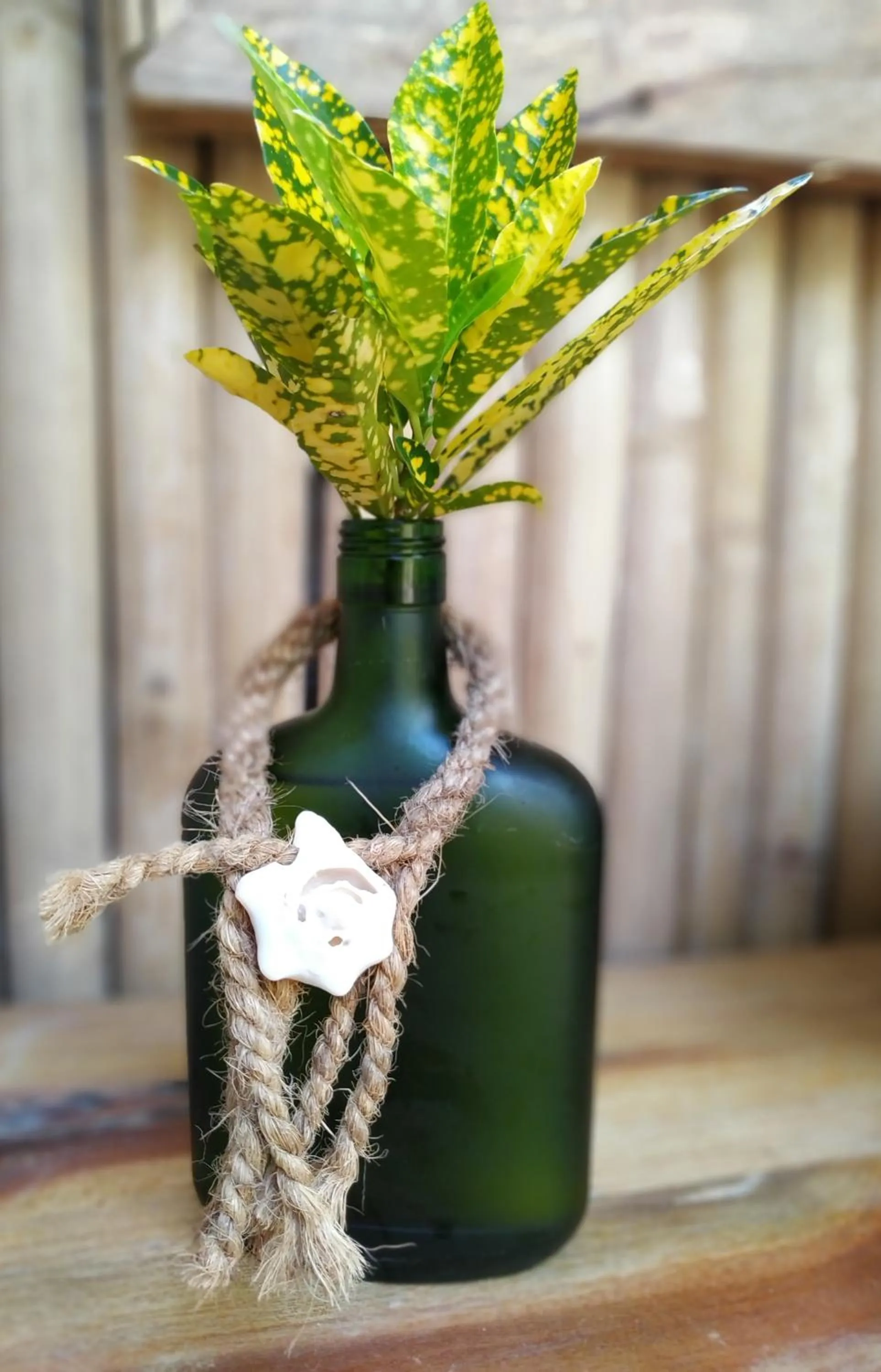 Decorative detail in Karamba Eco Boutique Hotel