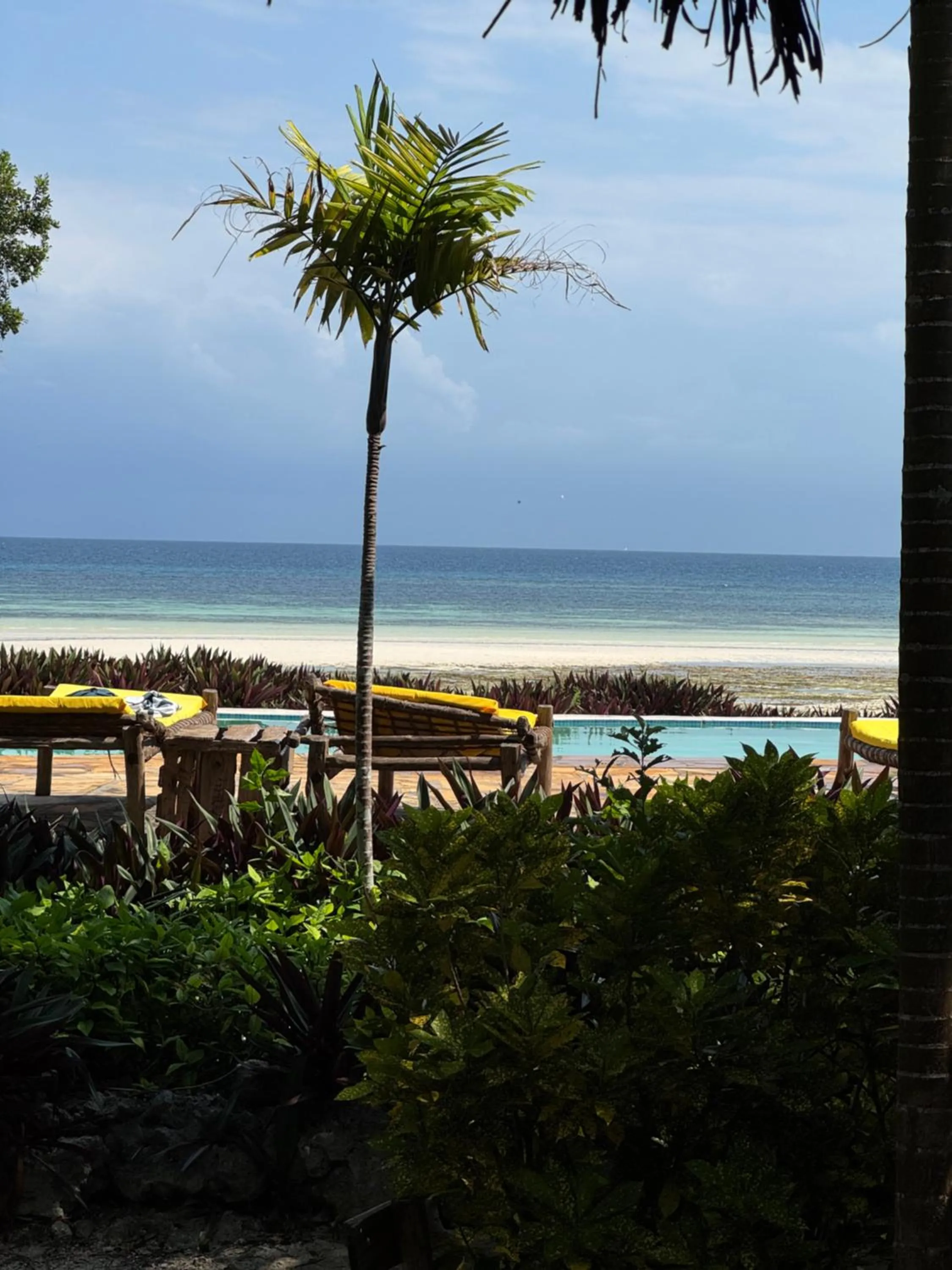 Garden view in Karamba Eco Boutique Hotel