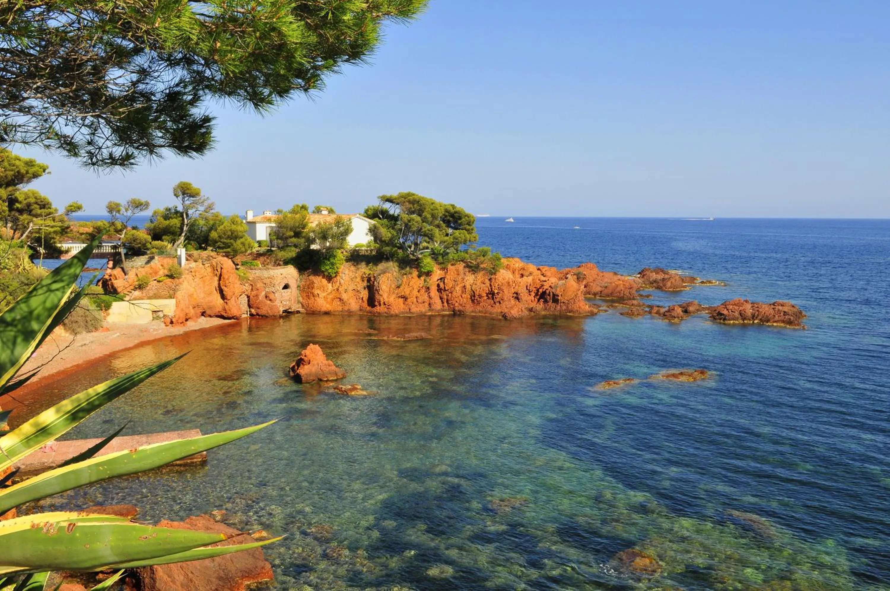 Area and facilities in Hôtel Miléade Méditerranée - Port-Fréjus