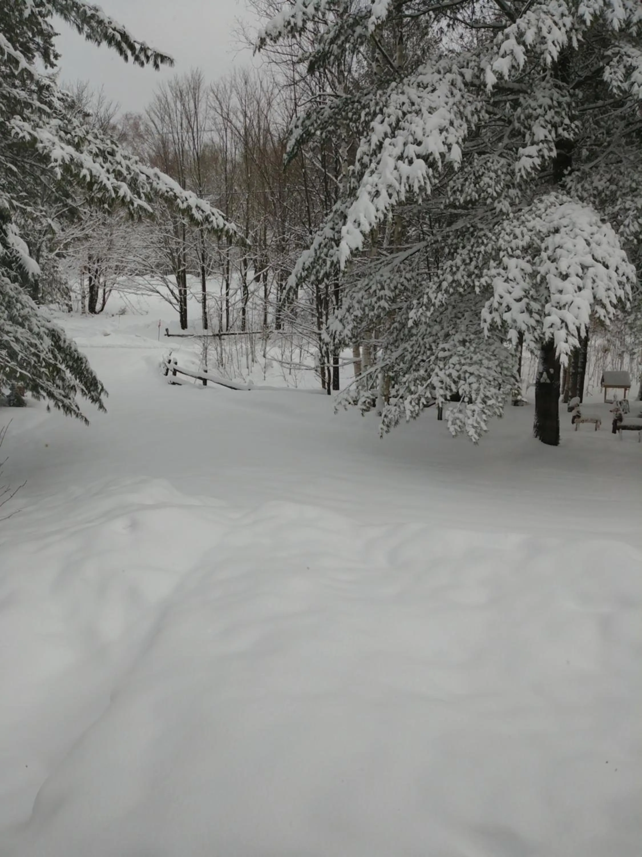 Winter in Suite in the Bush-Private Apartment