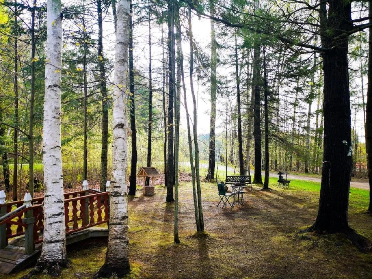 Garden in Suite in the Bush-Private Apartment