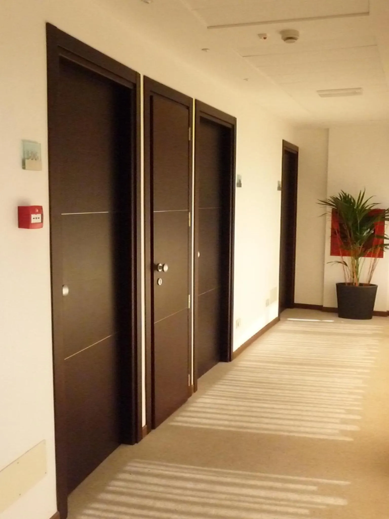 Decorative detail in Hotel David