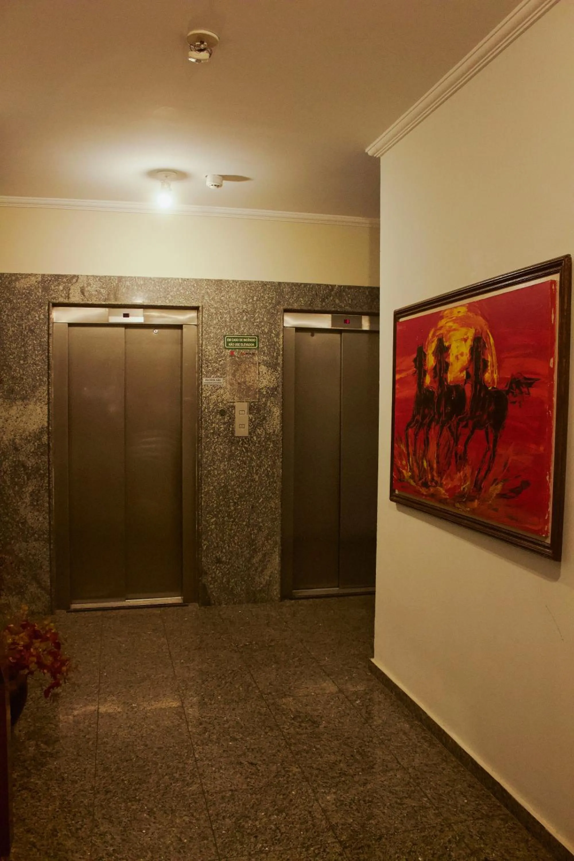 elevator in Rovi Plaza Hotel
