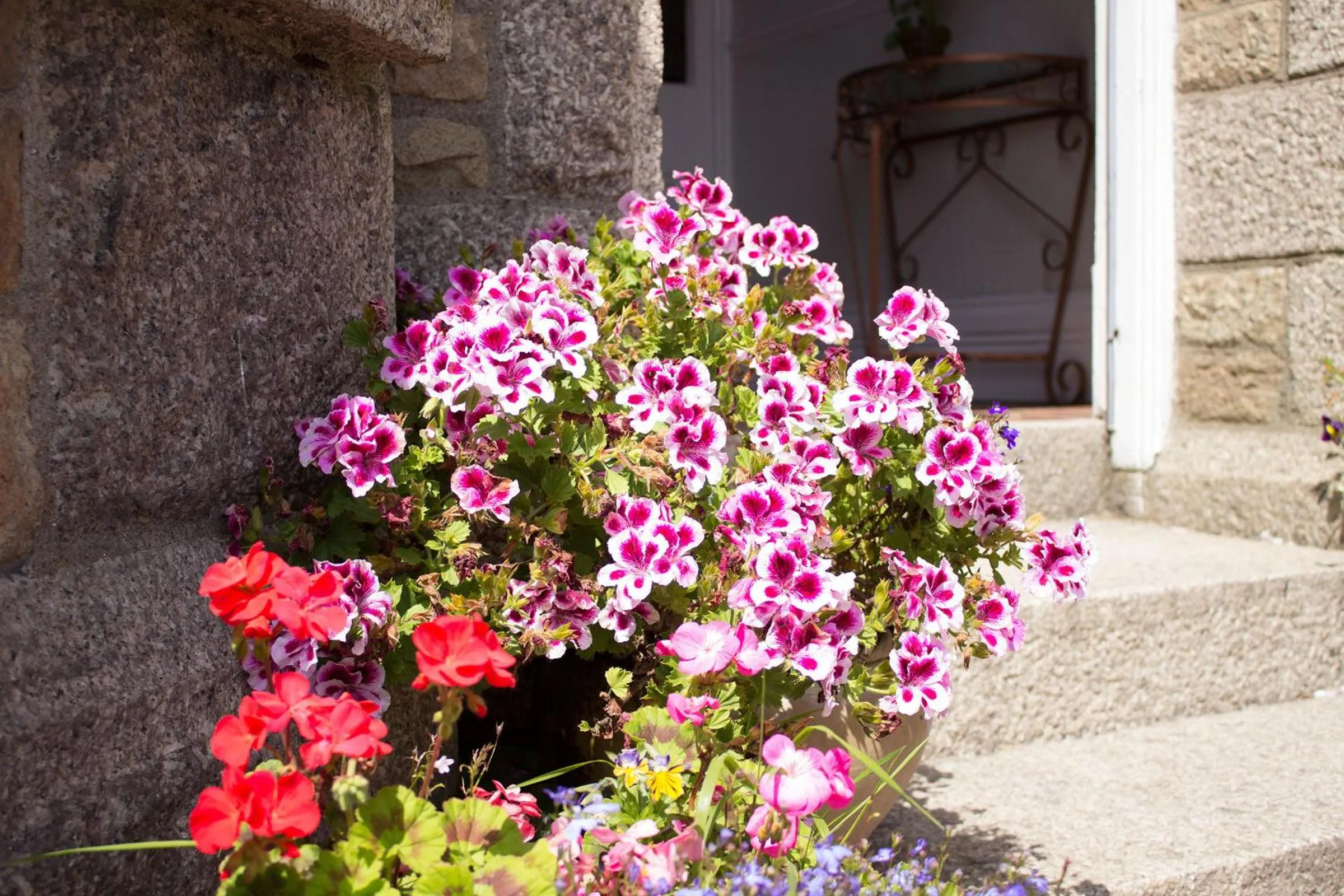 Day in Glenleigh Bed and Breakfast