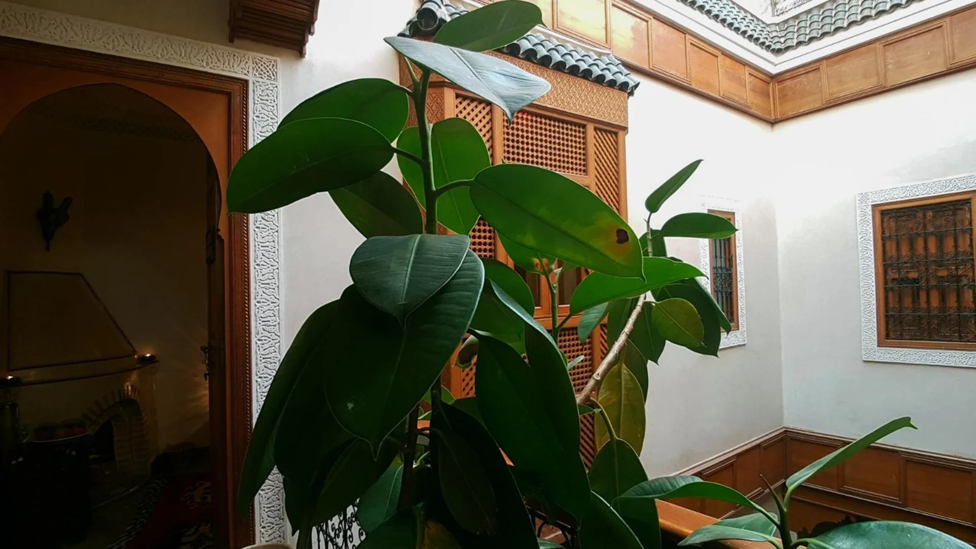 Facade/entrance in Riad Gallery 49 & Spa