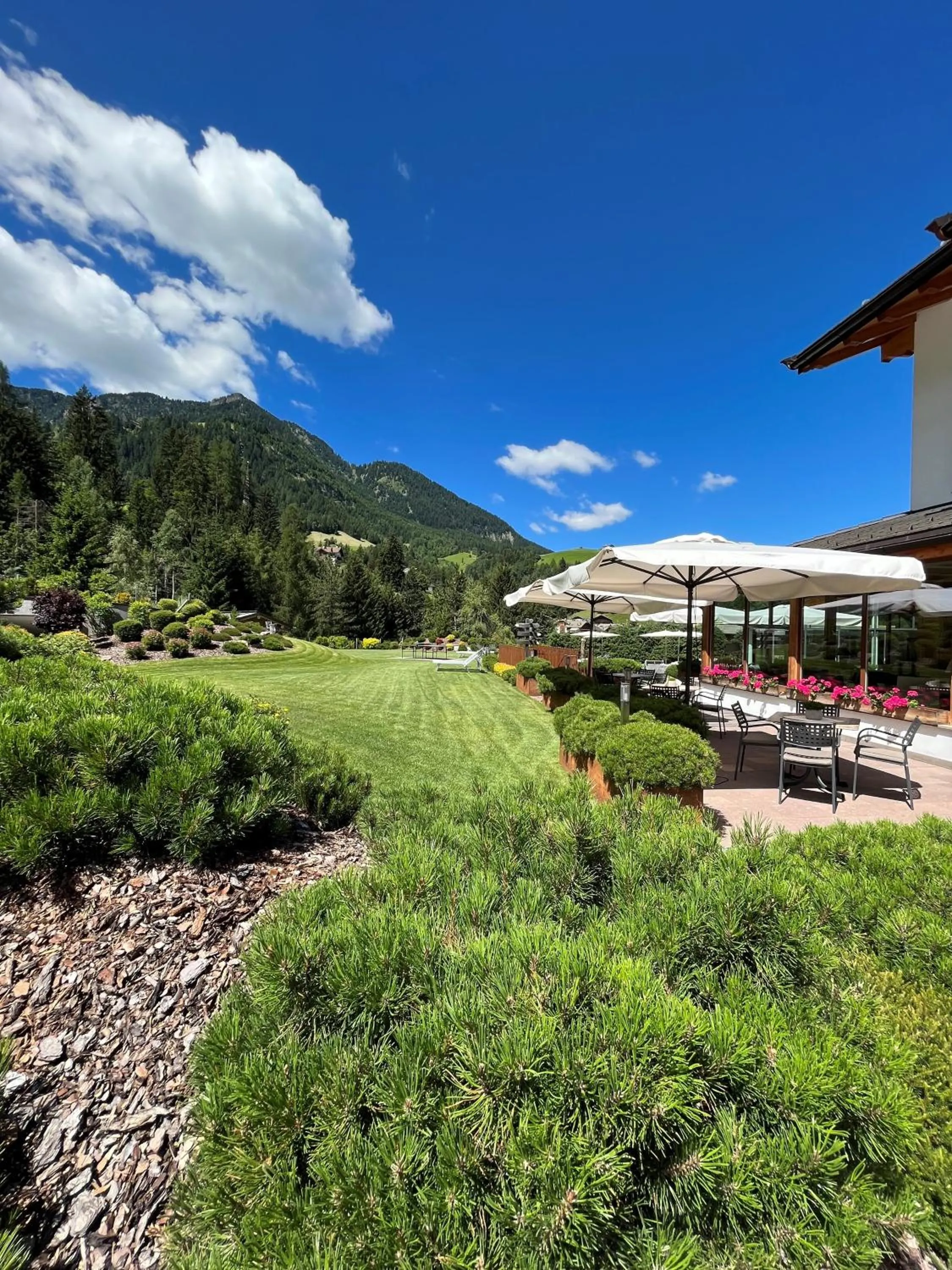 Garden in Hotel Arnaria
