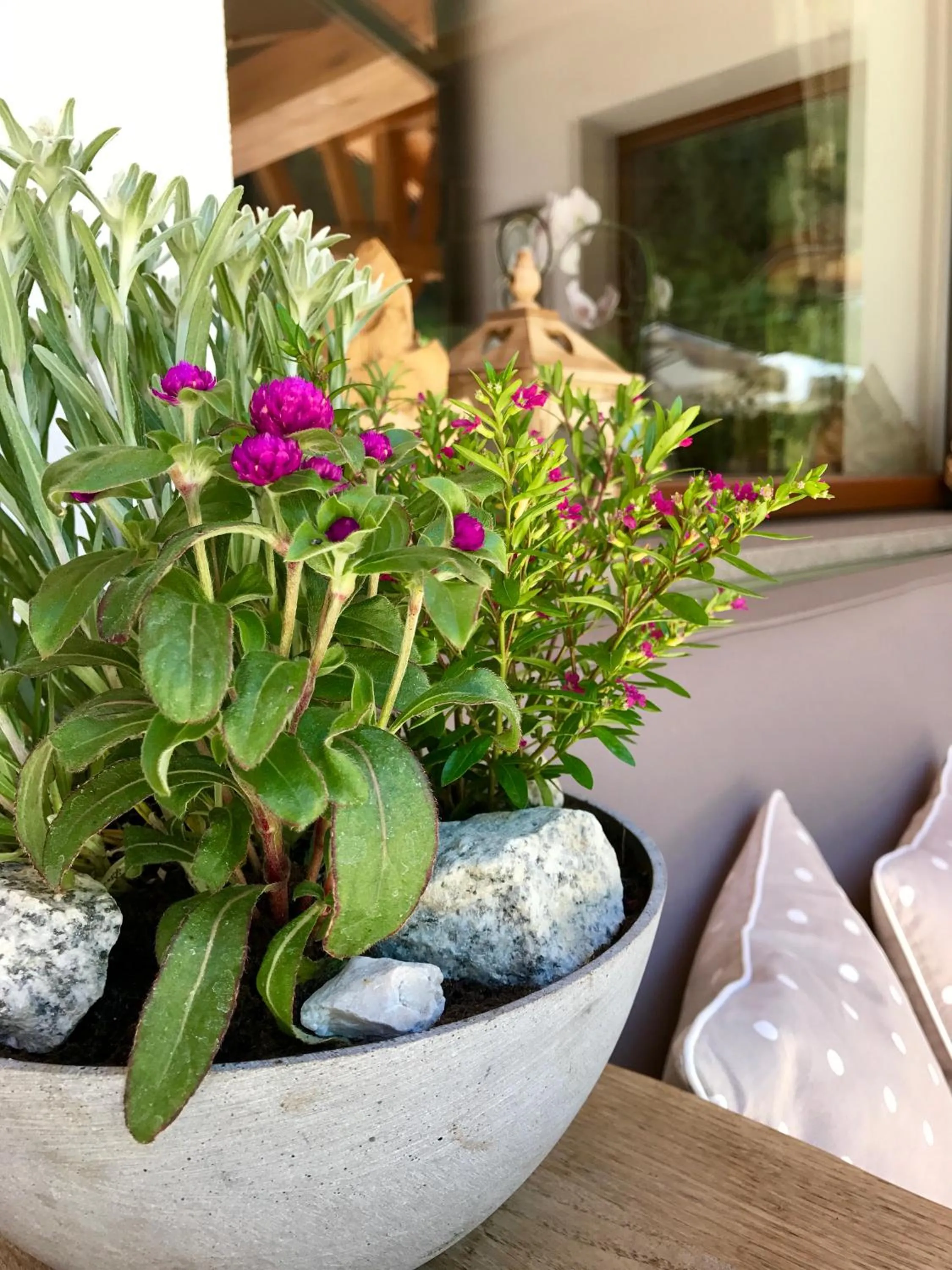 Summer in Hotel Arnaria