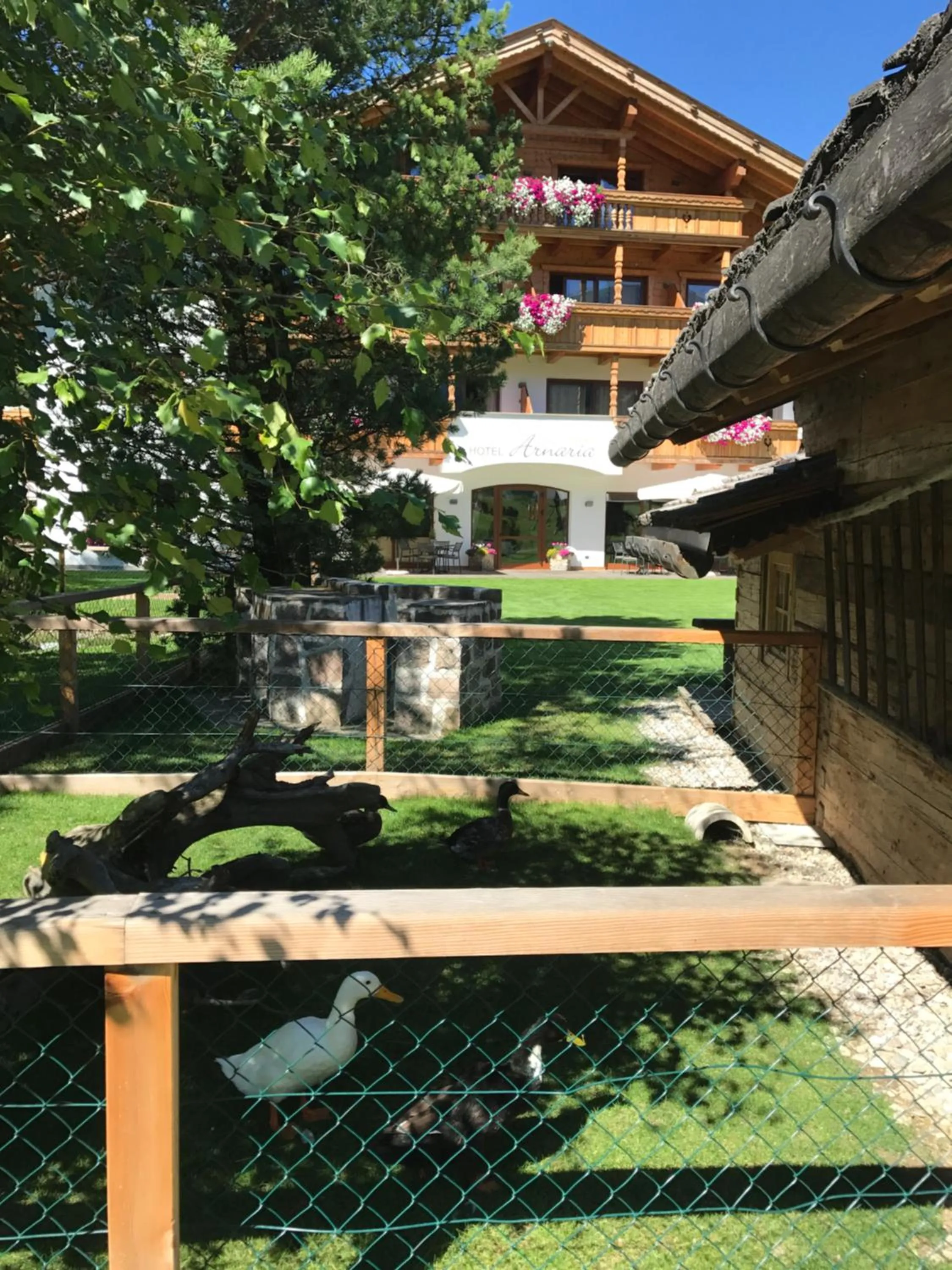 Pets in Hotel Arnaria