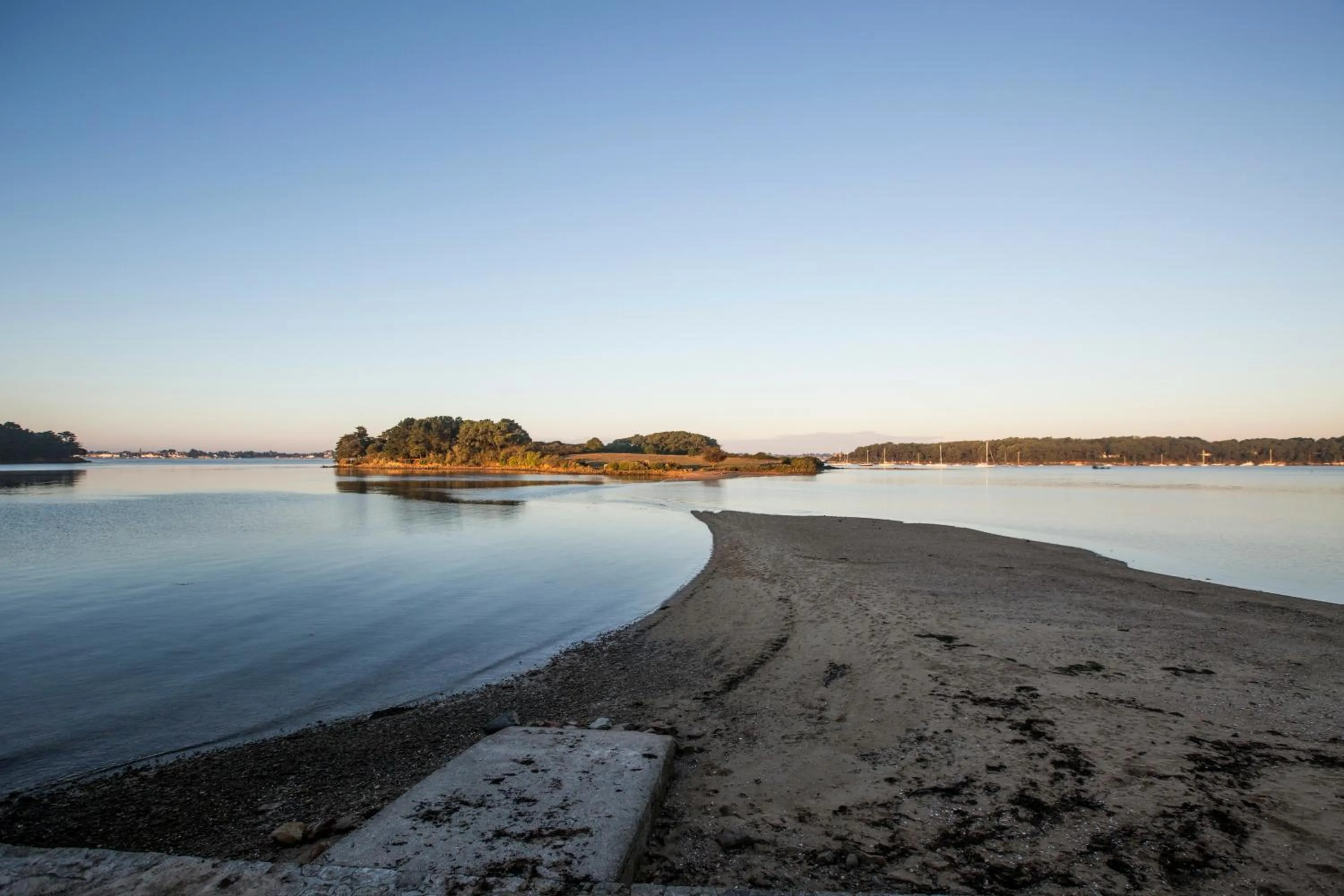 Entertainment in Kyriad Prestige Vannes Centre-Palais des Arts