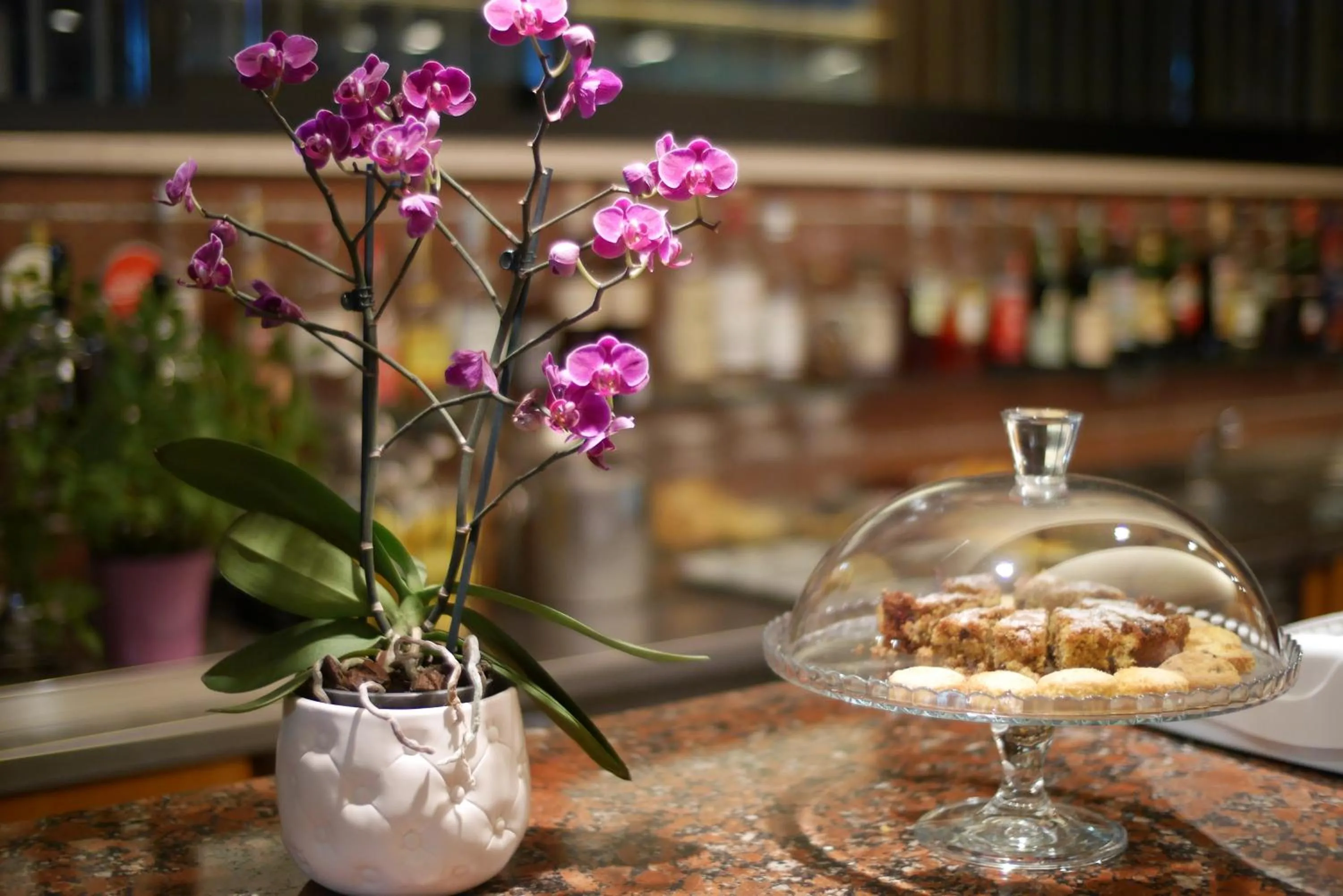 Lounge or bar in Hotel Colorado Cesenatico