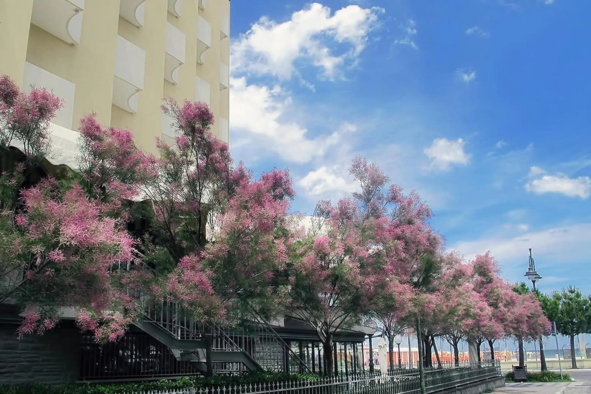 On site in Hotel Colorado Cesenatico