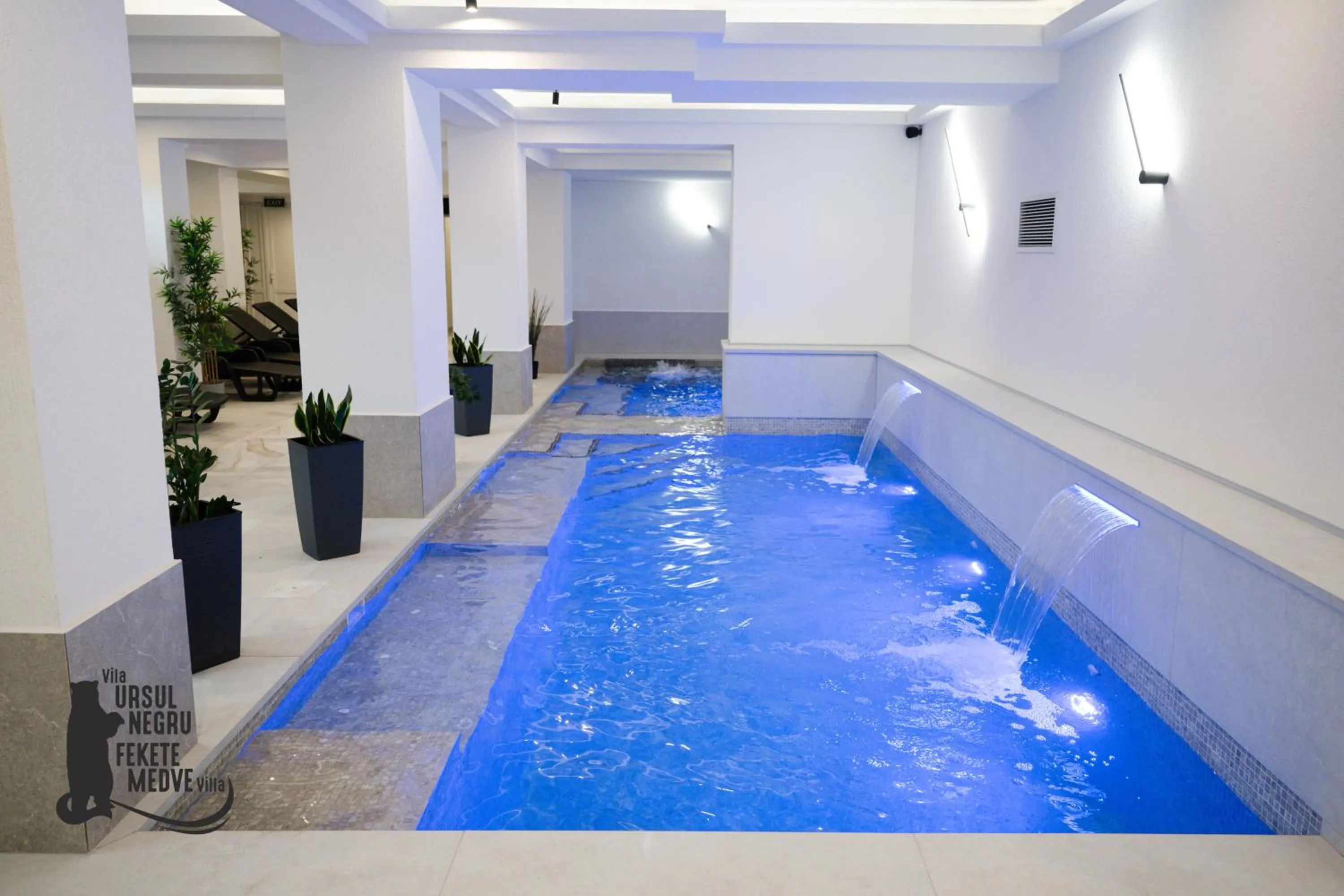 Spa and wellness centre/facilities in Vila Ursul Negru